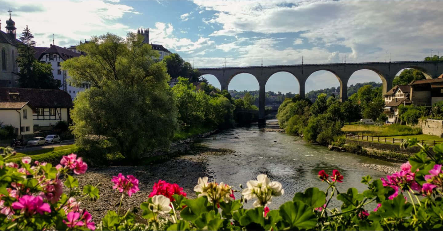 Fribourg, historic Swiss city, river, HD Desktop Wallpaper