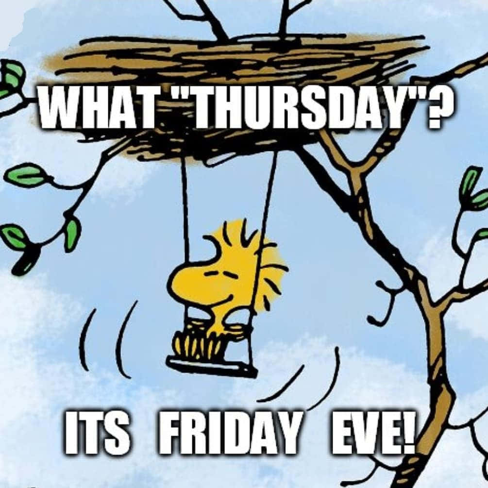 Friday Eve, cartoon bird, swing, SD Desktop Wallpaper