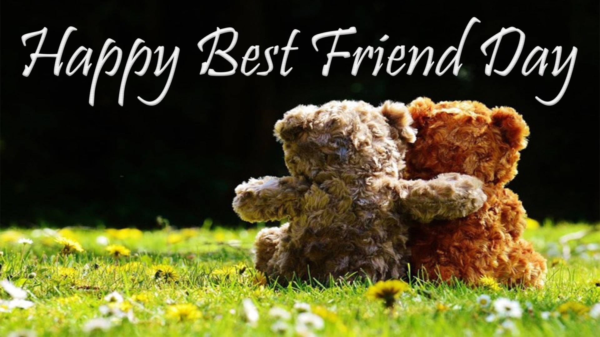 Friendship Day, teddy bears, sunlit grassy field, Full HD Desktop Wallpaper