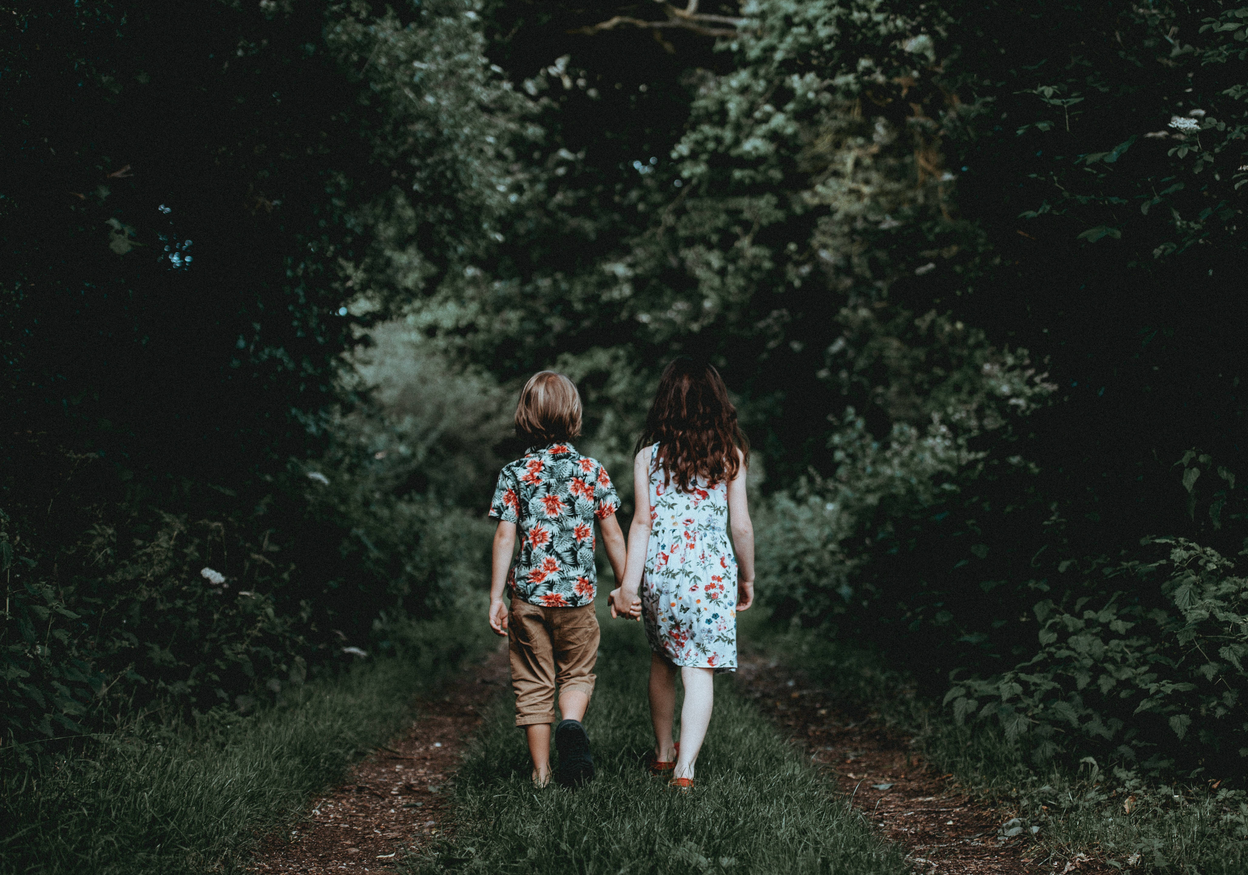 floral outfits, sunlit forest path, dense greenery, 4K Desktop Wallpaper