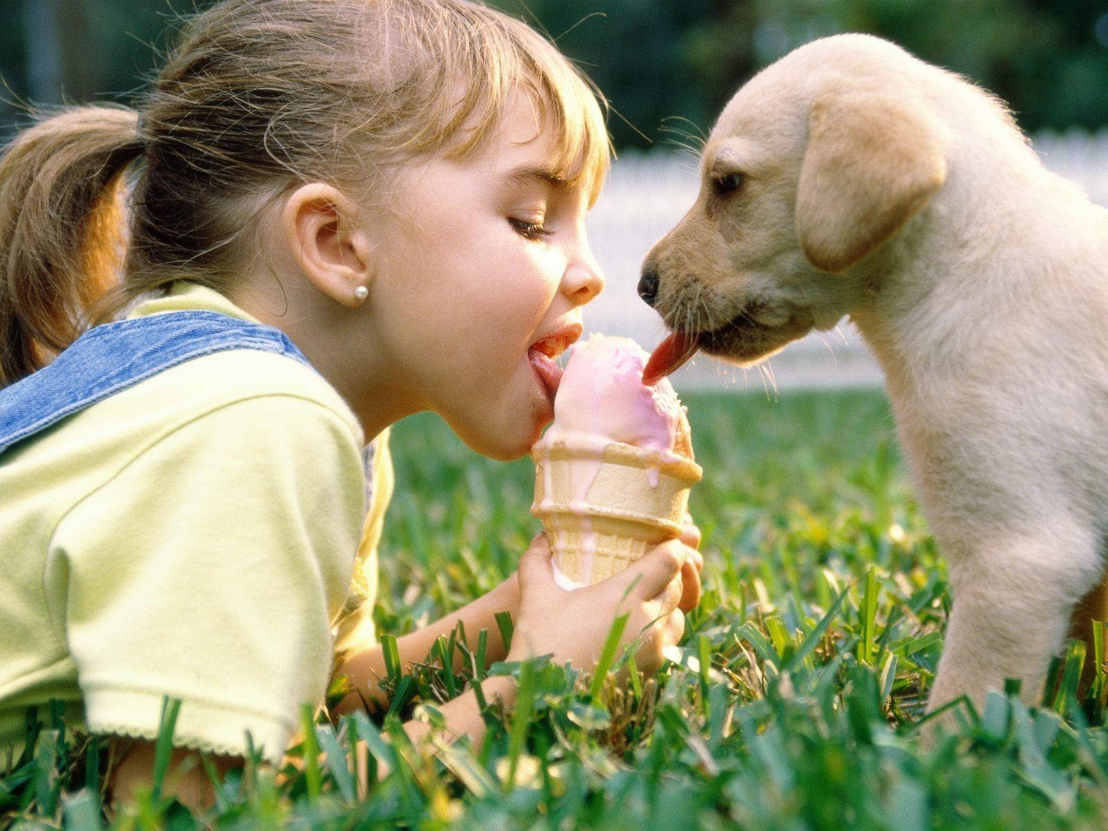 girl, puppy, yellow lab, HD Desktop Wallpaper