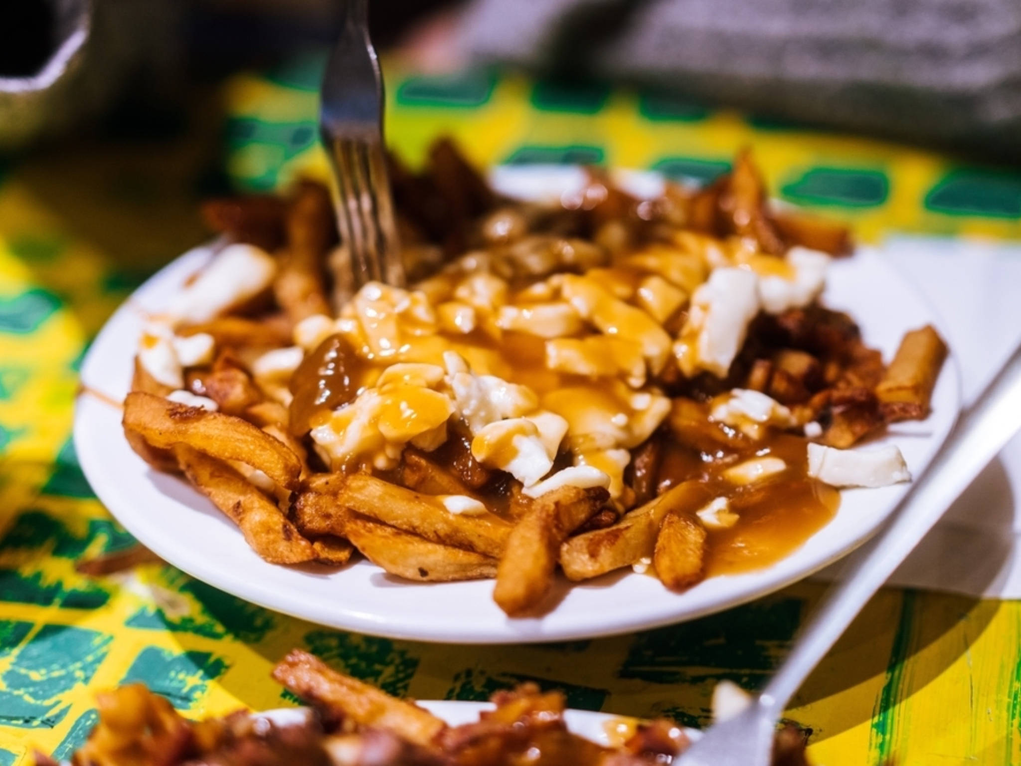 poutine, fries, cheese curds, Full HD Desktop Wallpaper