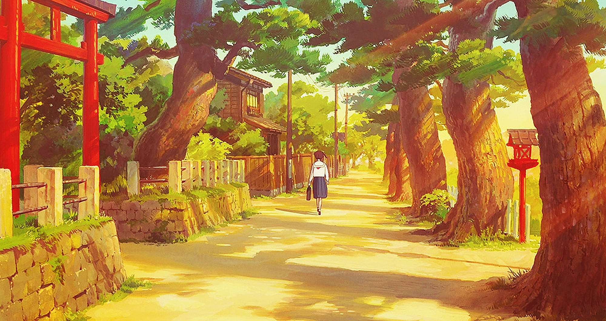 From up on poppy hill, daytime, sunlit path, Full HD Desktop Wallpaper