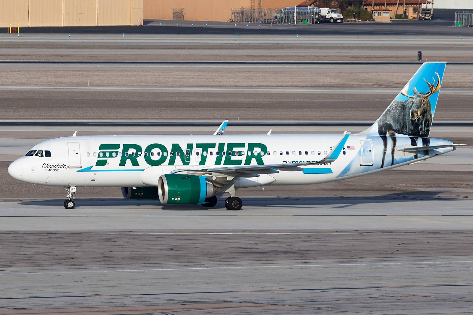 Frontier Airlines, moose livery, airport tarmac, HD Desktop Wallpaper