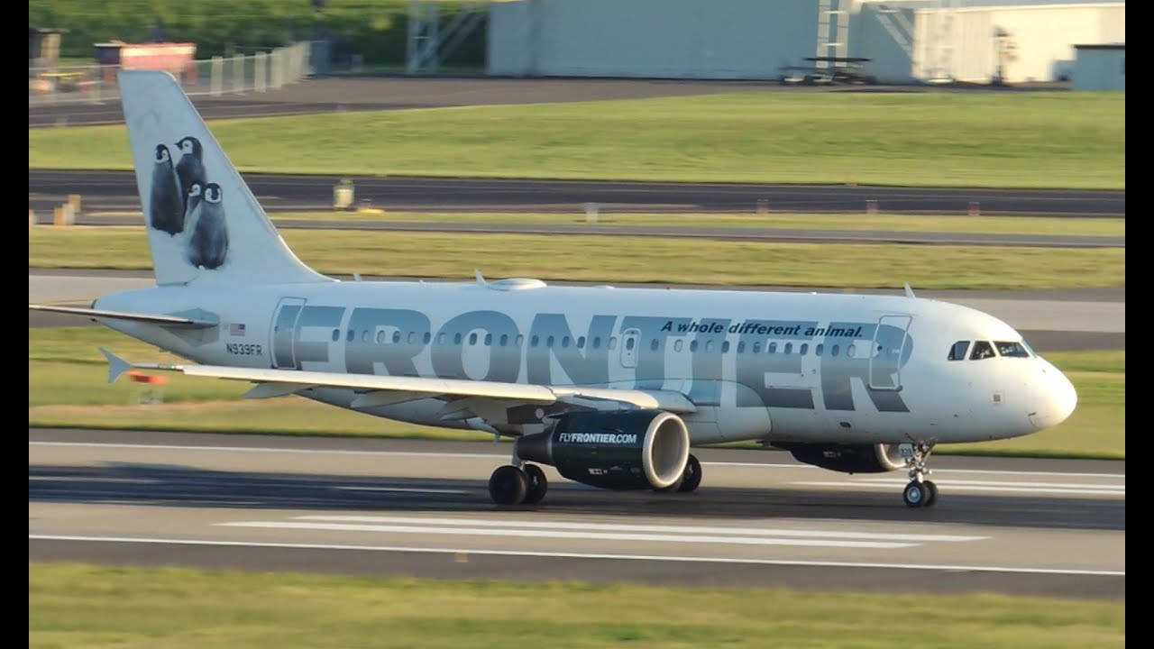 Frontier Airlines, penguin livery, airplane, HD Desktop Wallpaper