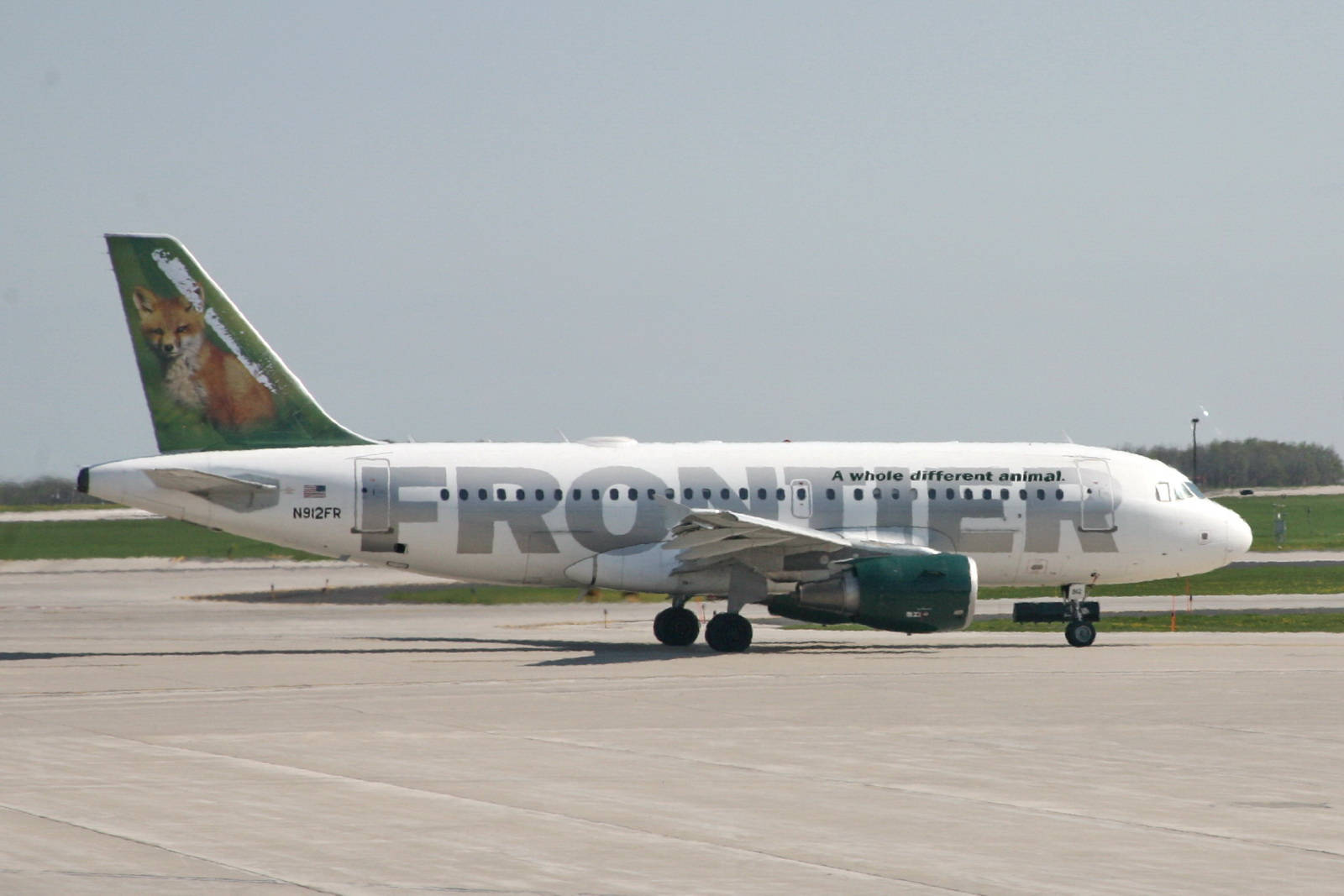 Frontier Airlines, fox graphic, tail, HD Desktop Wallpaper