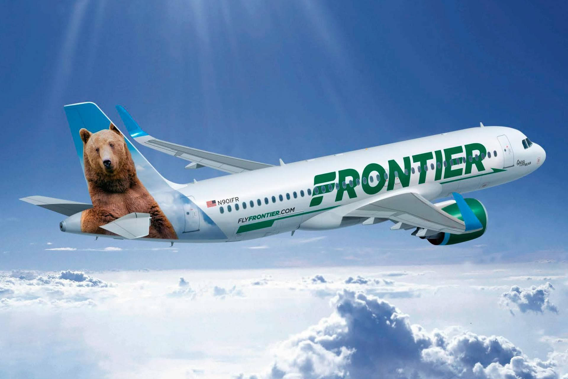 Frontier Airlines, giant bear graphic, tail, Full HD Desktop Wallpaper