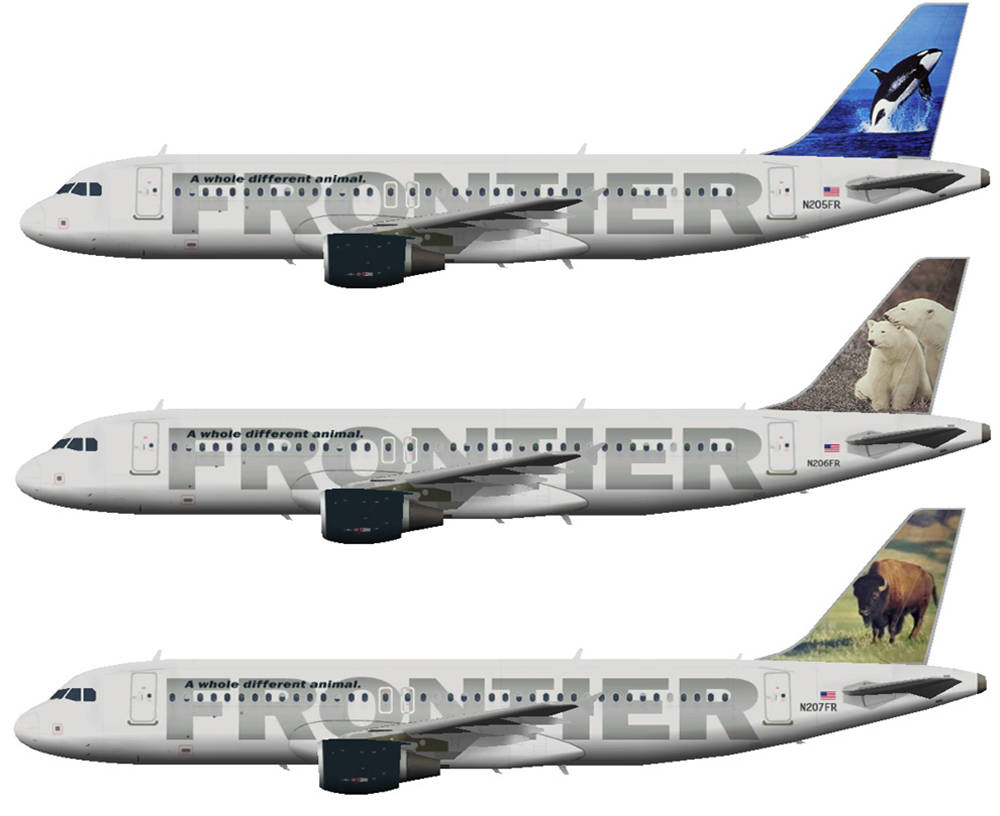 Frontier Airlines, orca, polar bears, SD Desktop Wallpaper