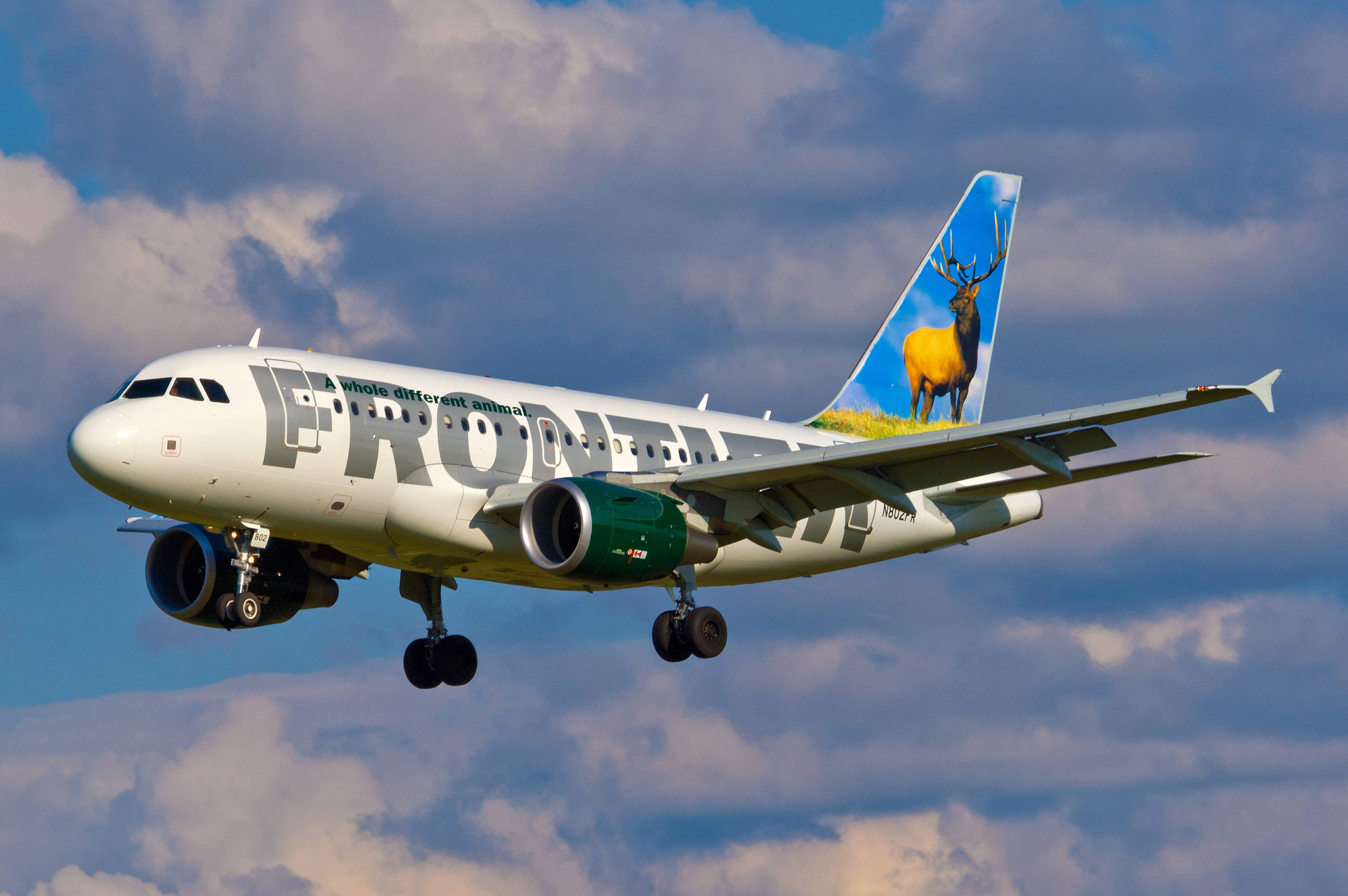 Frontier Airlines, elk, cloudy blue sky, 2K Desktop Wallpaper