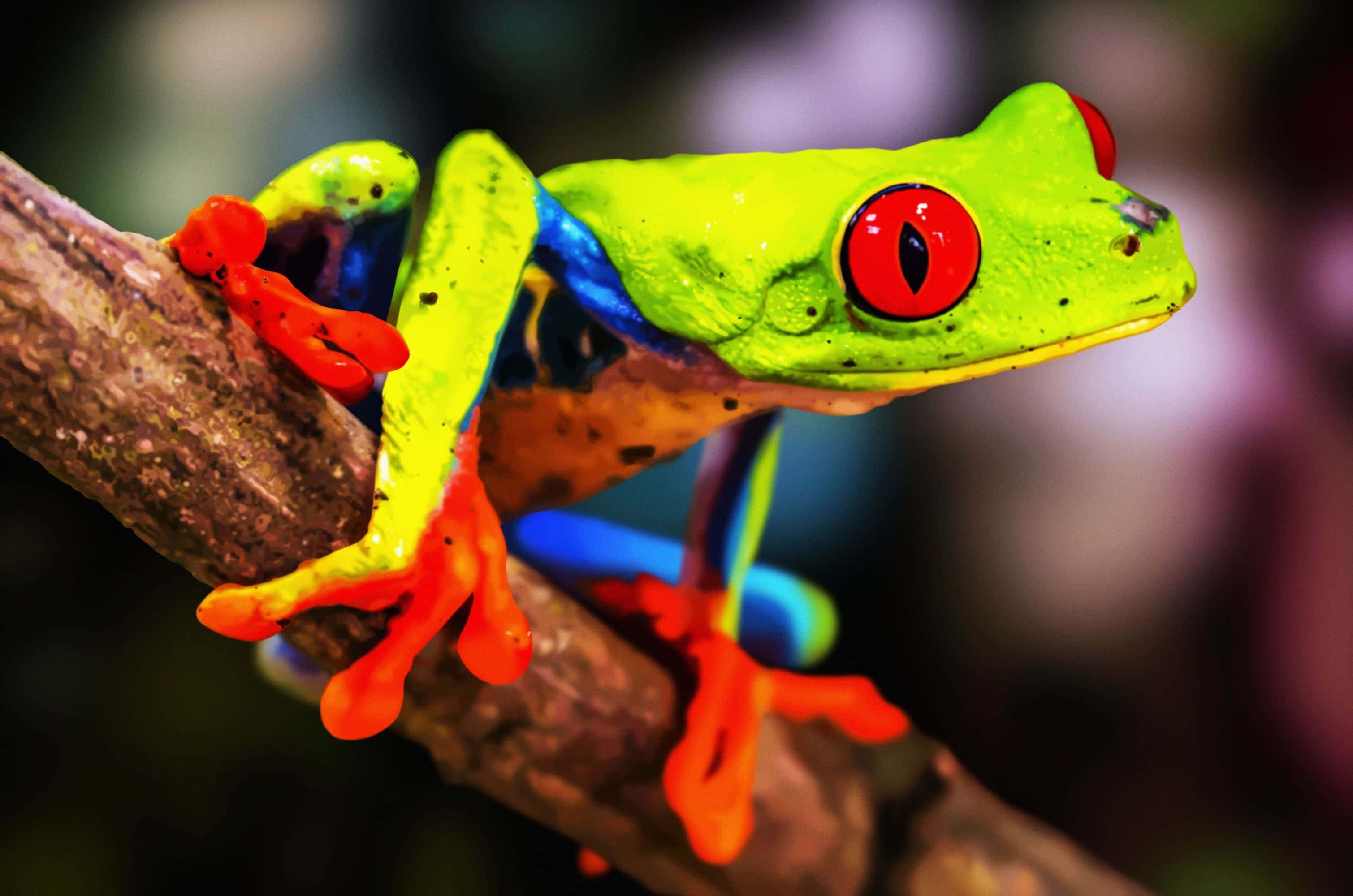 vibrant tree frog, neon green skin, red eyes, 2K Desktop Wallpaper