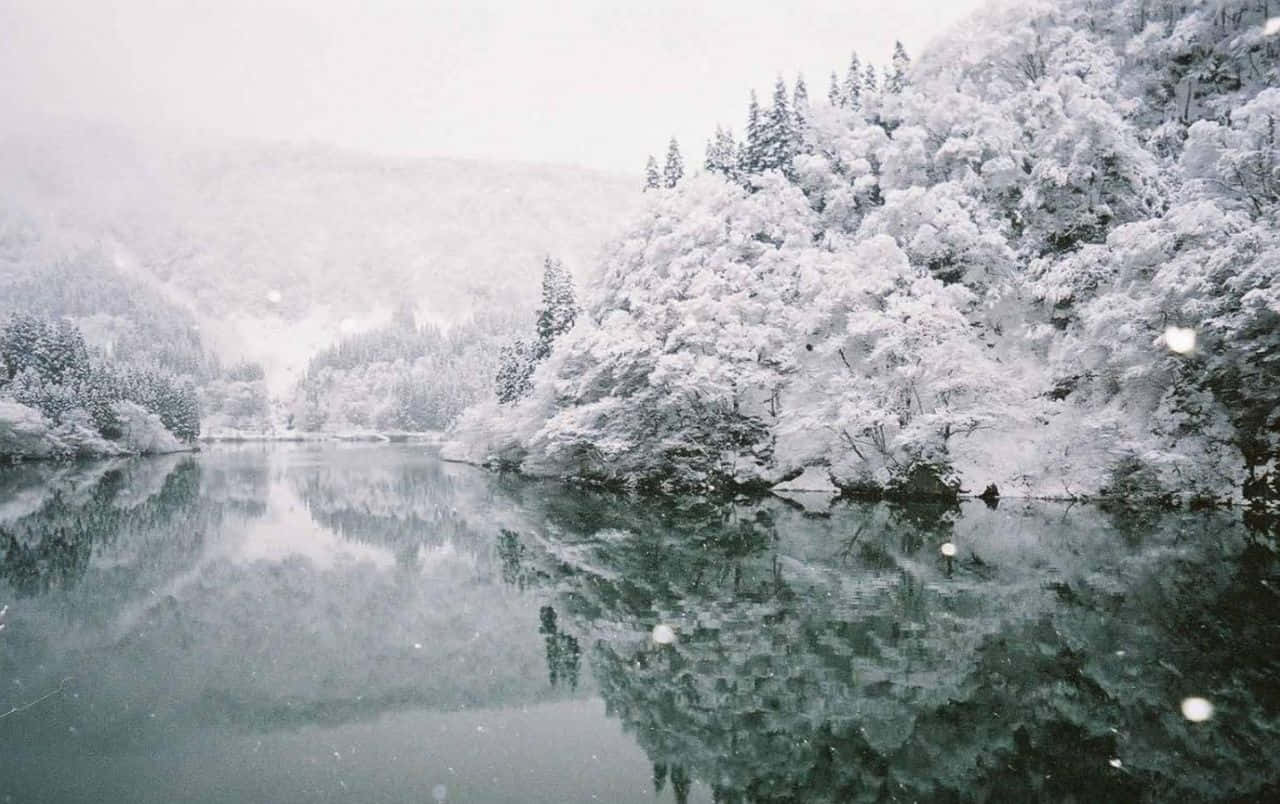 Frozen Lake, evergreen trees, calm lake, HD Desktop Wallpaper