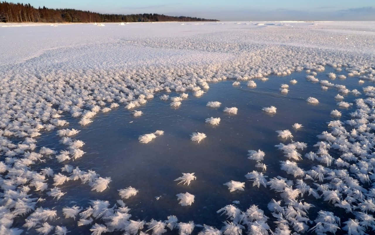 frozen lake, white ice crystals, dark blue melt pool, HD Desktop Wallpaper
