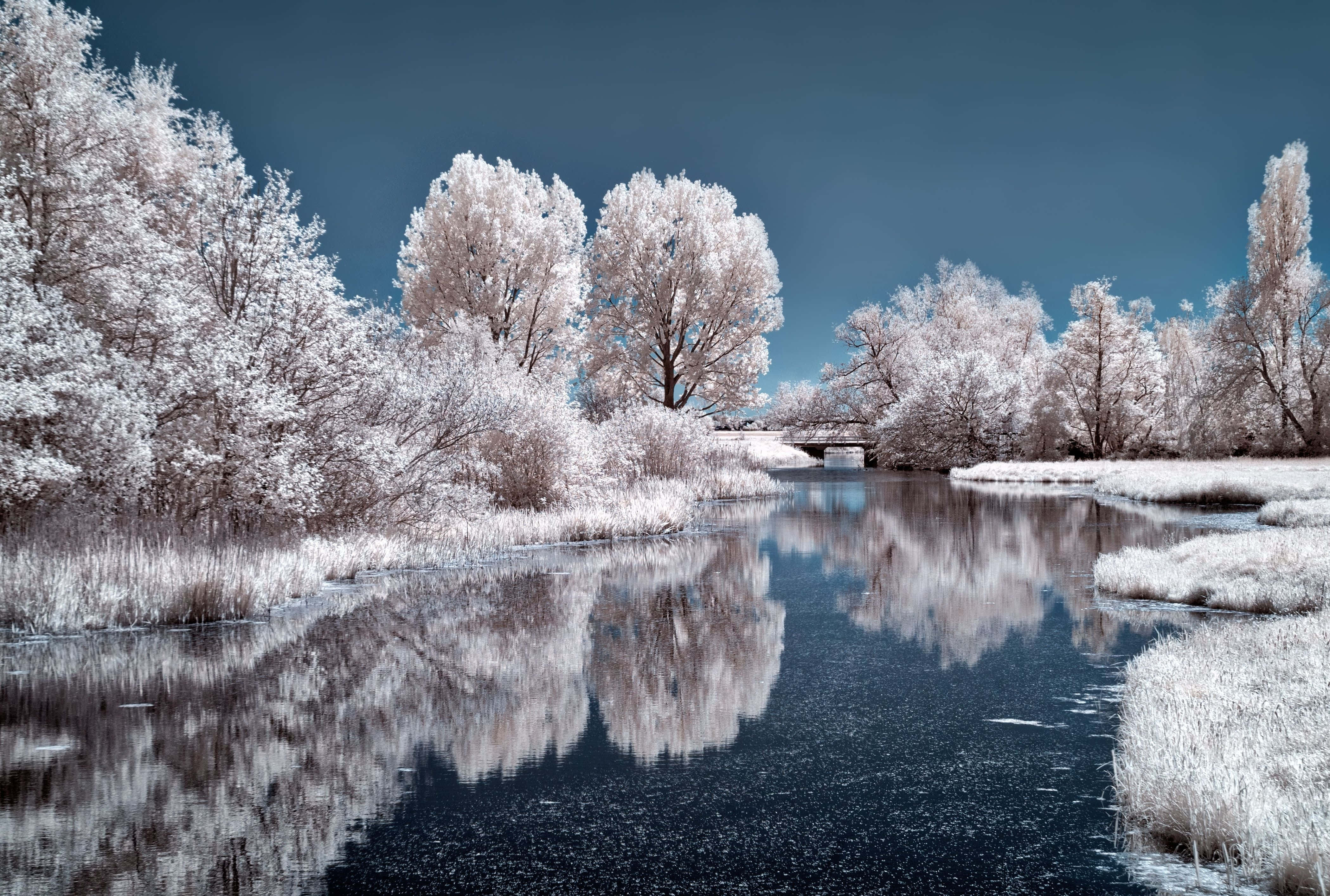 Frozen Lake, infrared winter scene, frost-covered trees, 4K Desktop Wallpaper