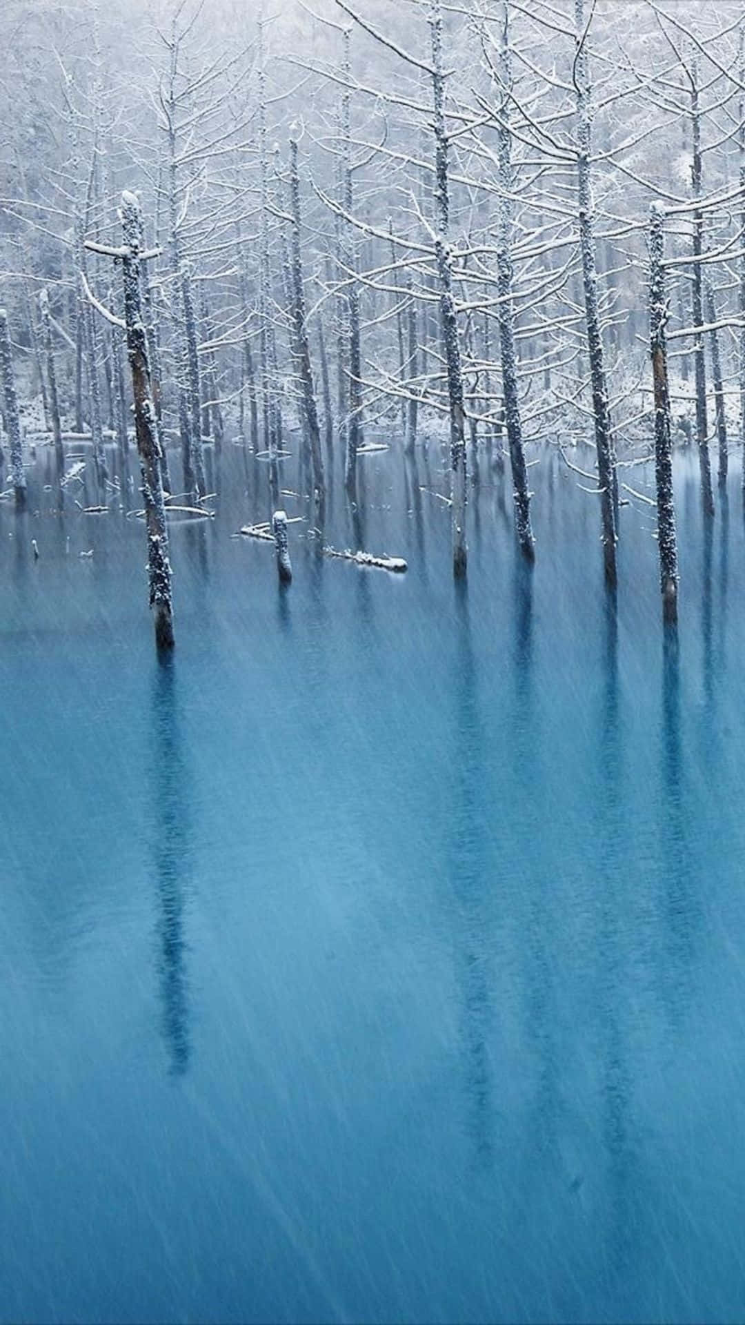 Frozen Lake, turquoise water, snow-dusted trees, Full HD Phone Wallpaper