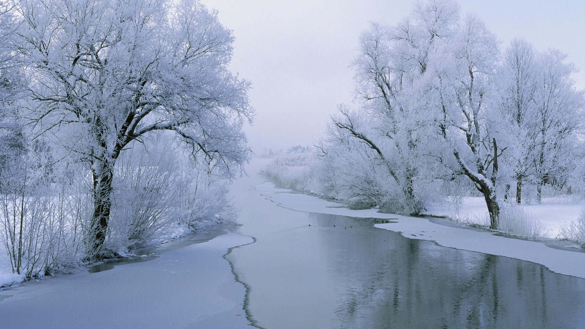 Frozen Lake, frozen river, snowy winter forest, Full HD Desktop Wallpaper