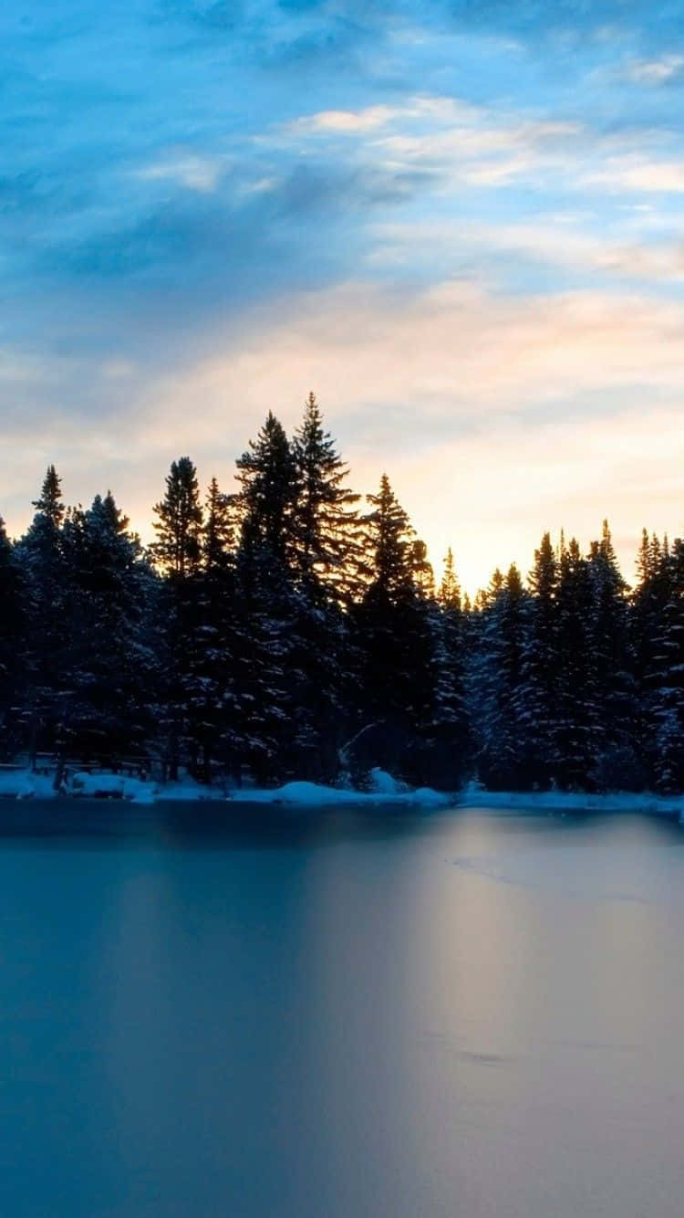 Frozen Lake, snow-dusted trees, twilight sky, HD Phone Wallpaper