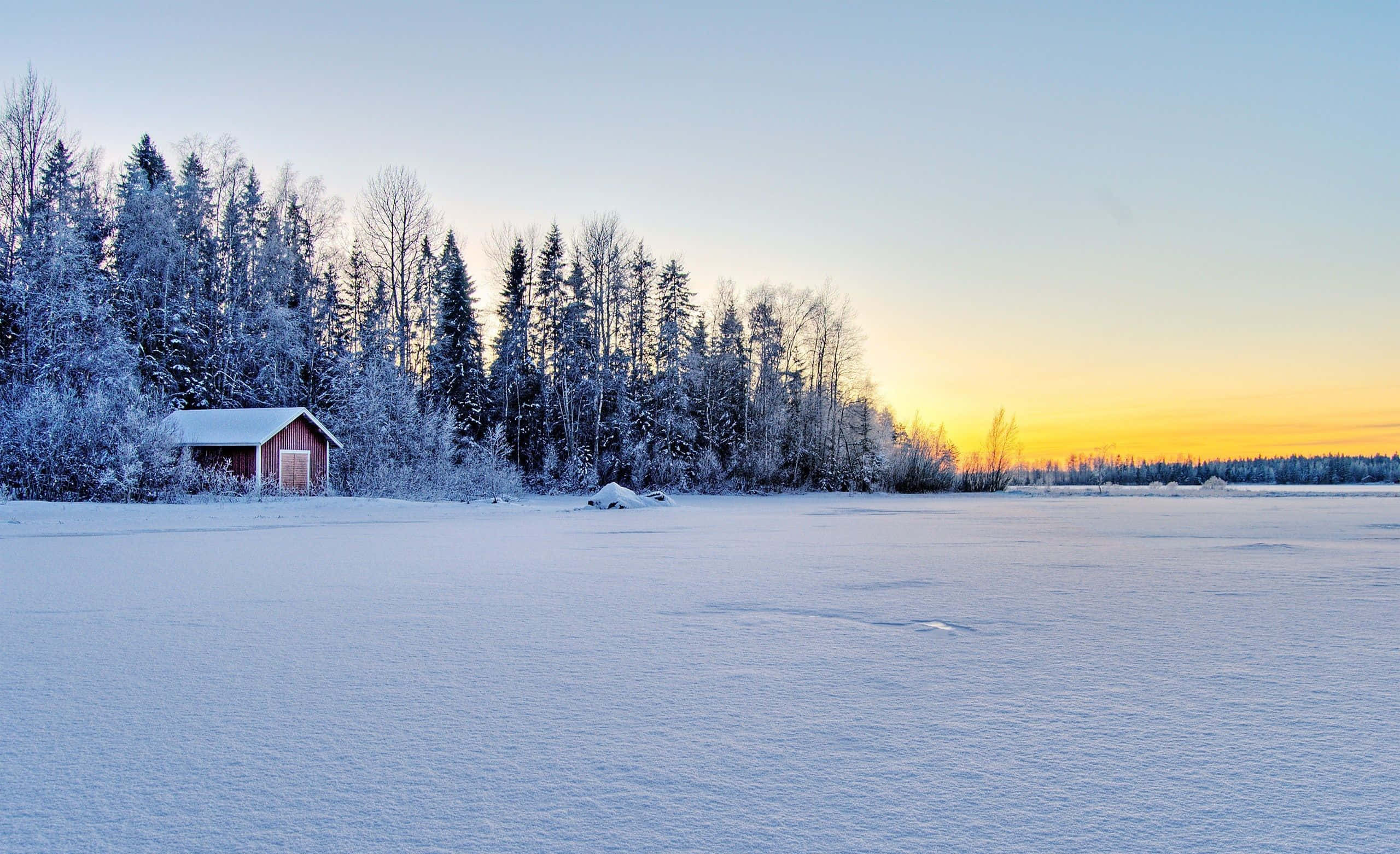 frozen lake, red cabin, snow-covered pines, 2K Desktop Wallpaper