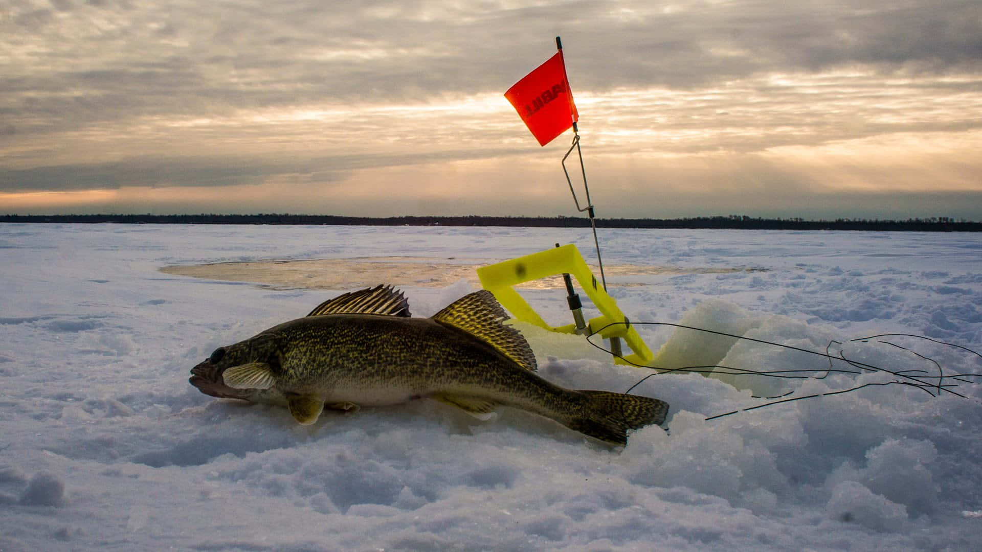 walleye, snowy ice, yellow ice fishing shelter, Full HD Desktop Wallpaper