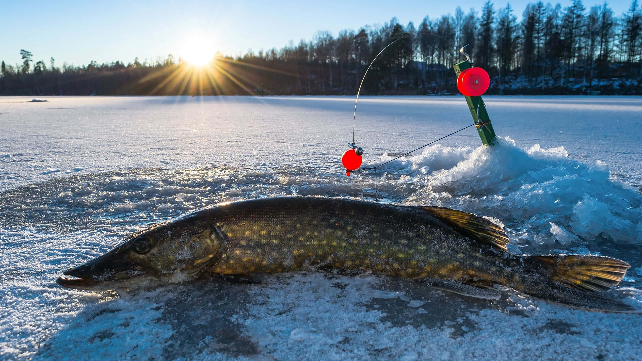 ice fishing hole, fishing rod, red bobbers, 2K Desktop Wallpaper