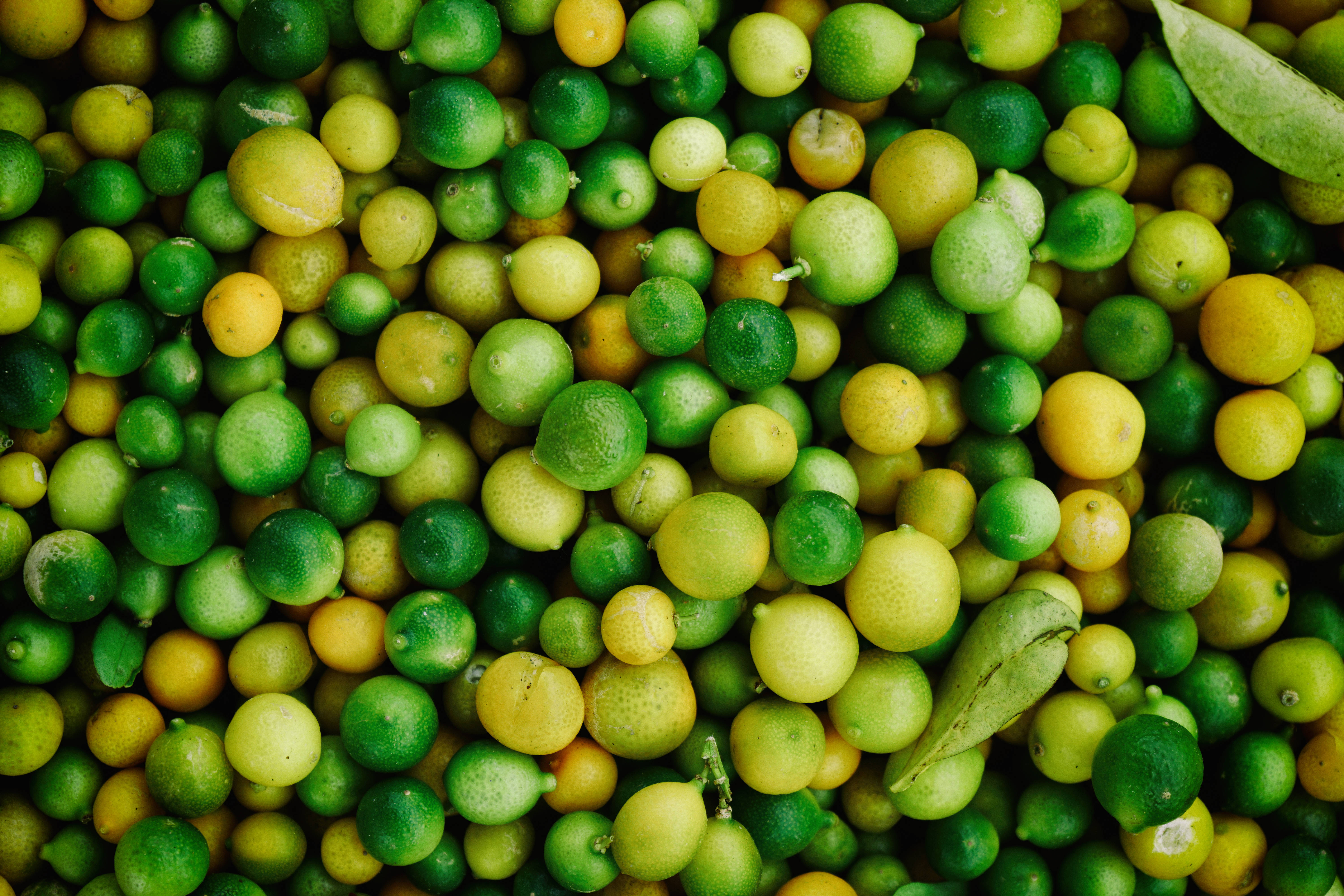 citrus fruits, green and yellow limes, dew drops, 5K Desktop Wallpaper