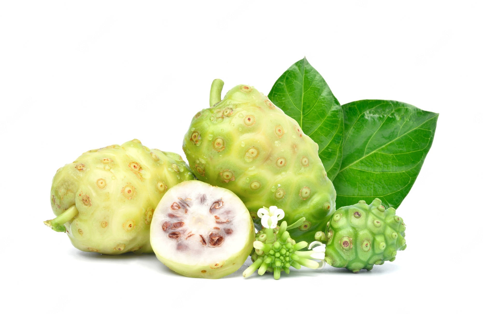 Noni fruits, green leaves, white flowers, Full HD Desktop Wallpaper