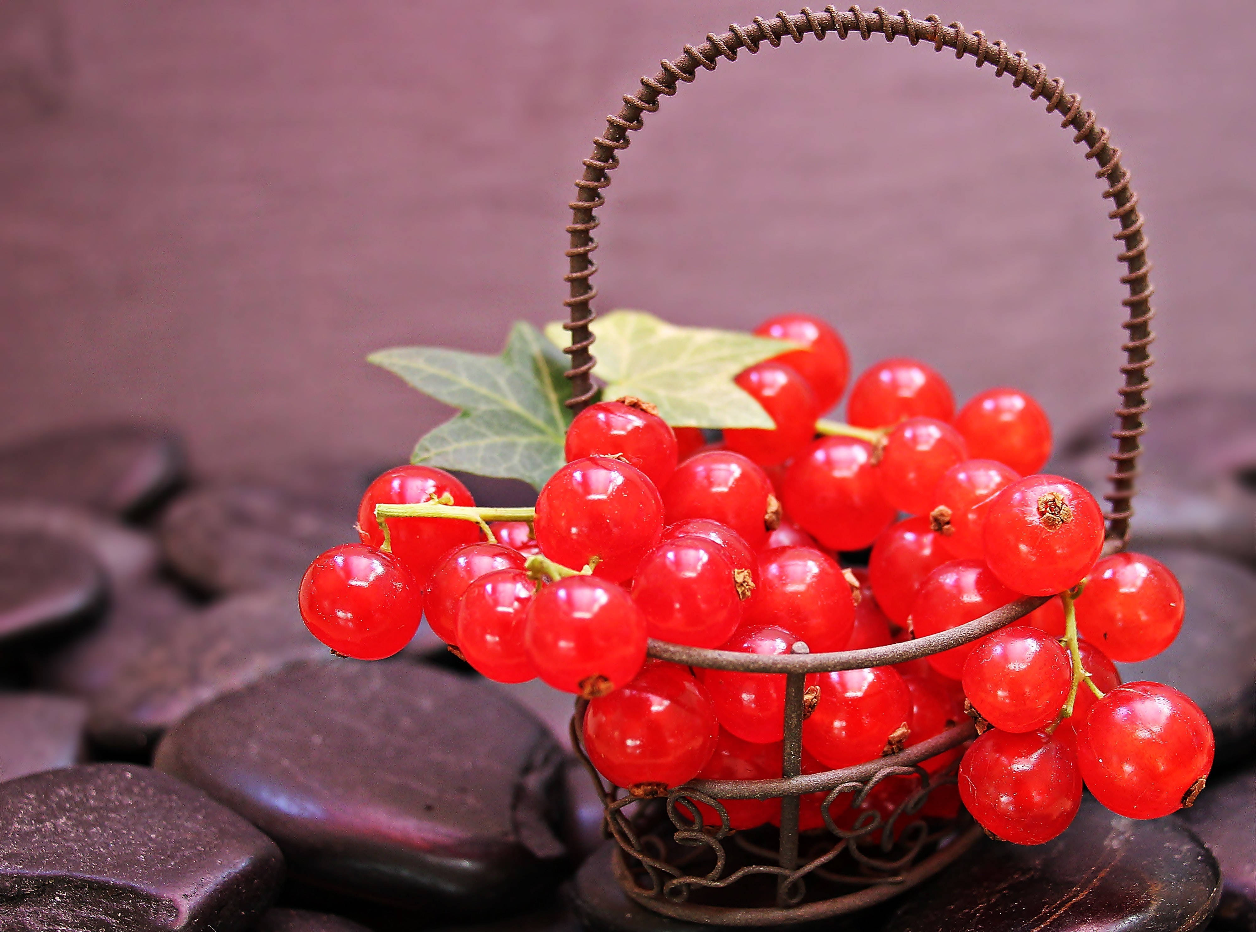 red currant, glossy red currants, green leaves, 4K Desktop Wallpaper
