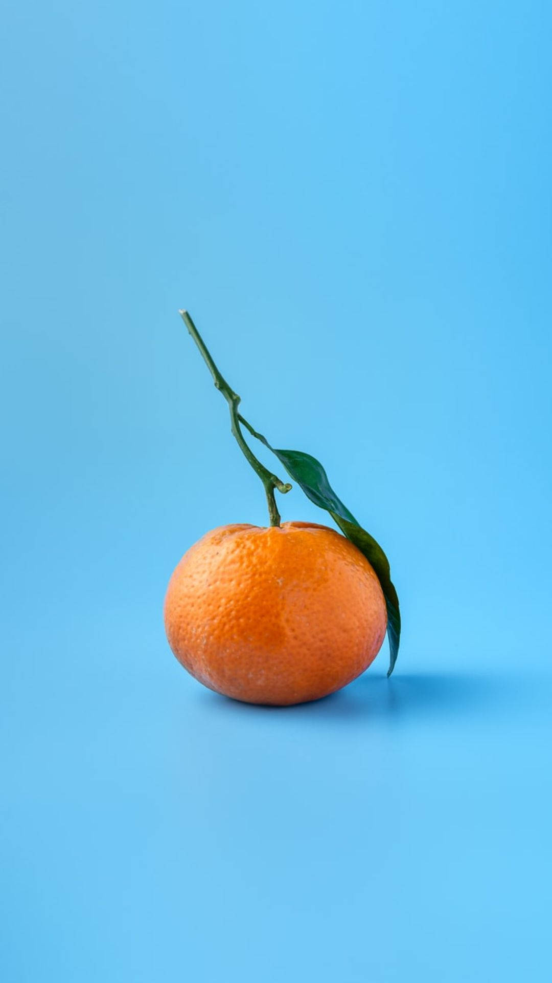orange fruit, green stem, leaf, Full HD Phone Wallpaper