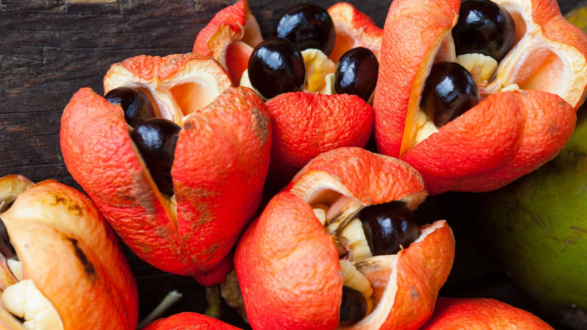 ackee fruit, red cashew pods, glossy black nuts, Full HD Desktop Wallpaper