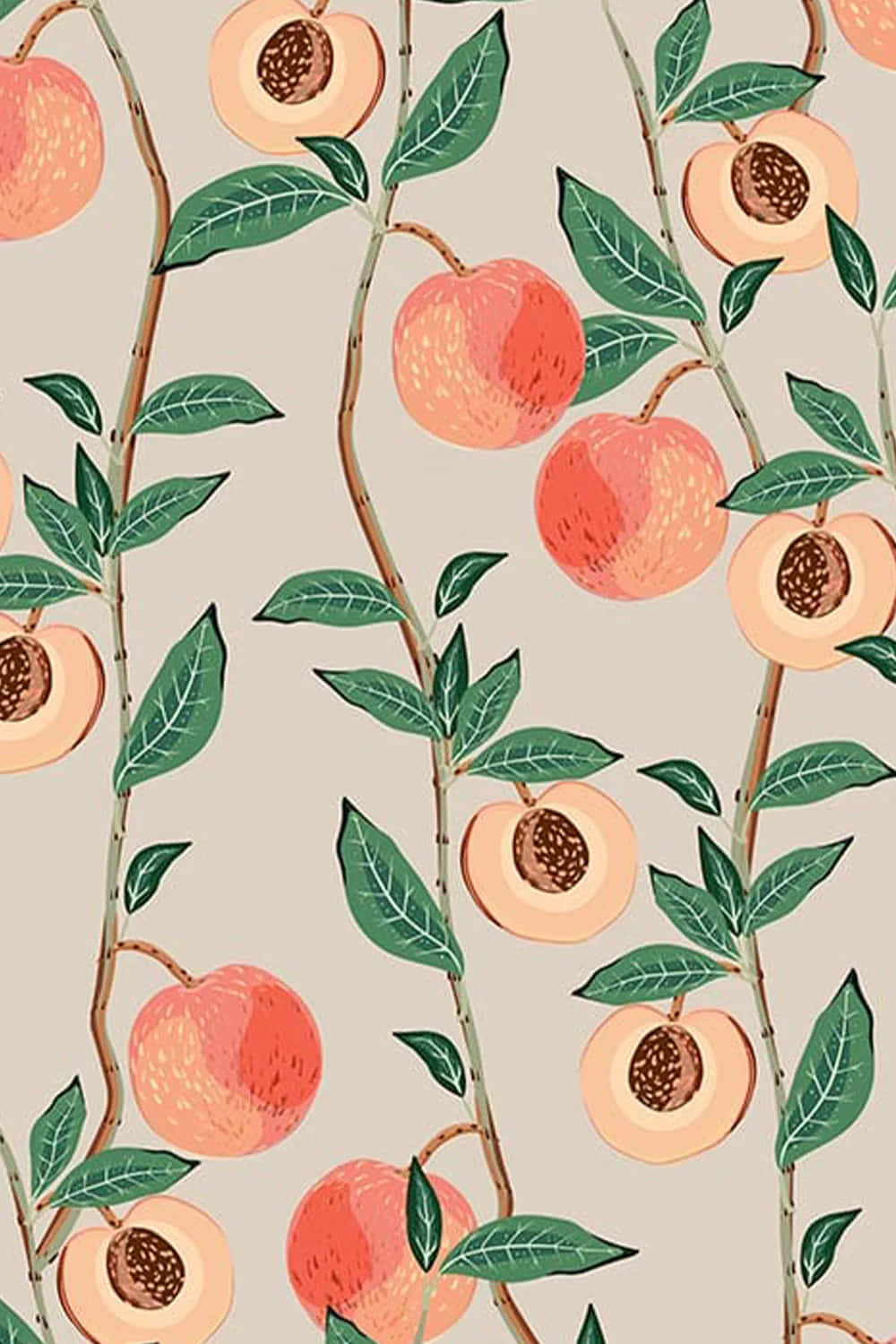 peach pattern, illustrated peach fruits, green leaves, HD Phone Wallpaper