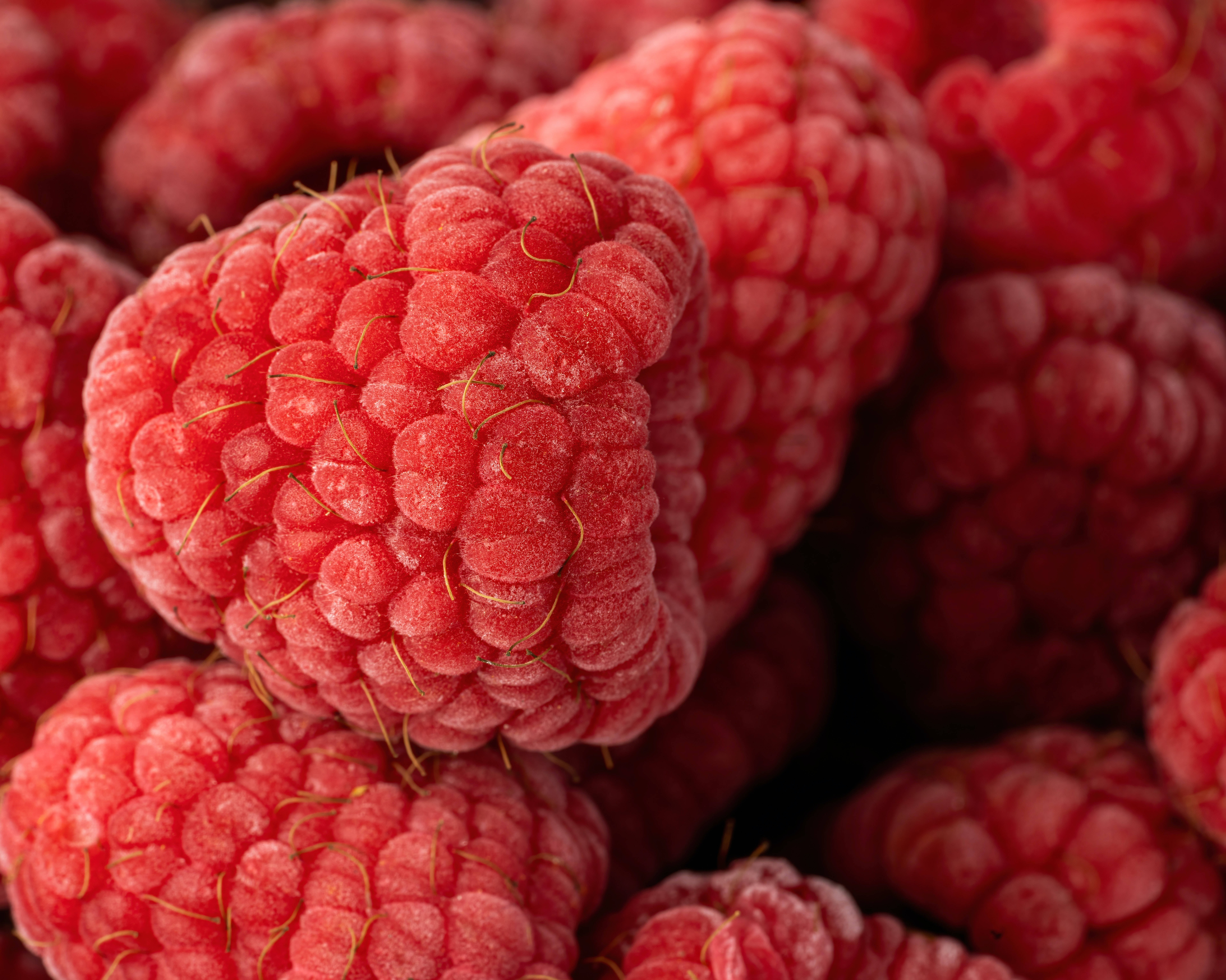 4K Tablet Raspberries, plump red raspberries, fuzzy texture, 5K Desktop Wallpaper