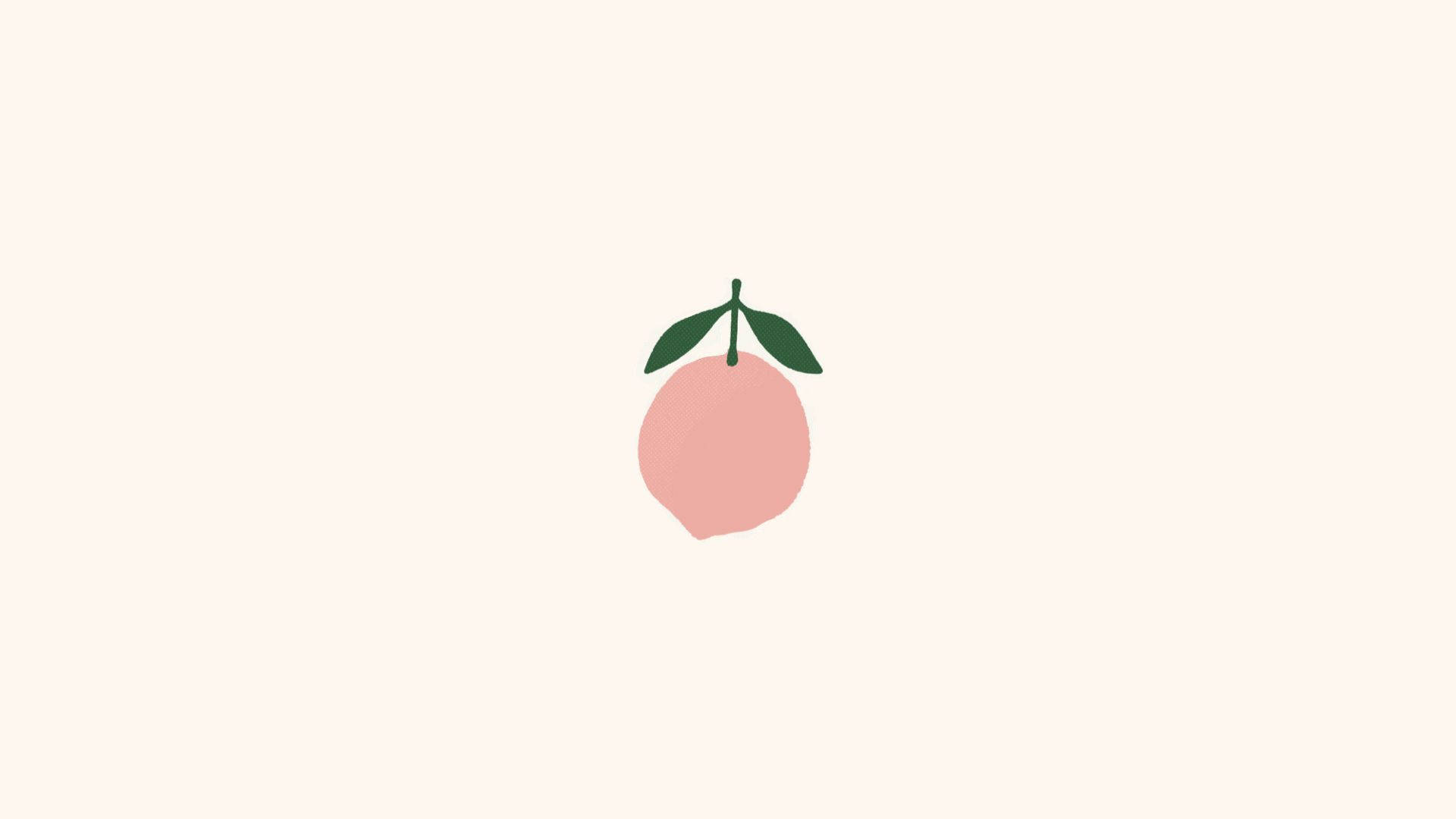 Singular Peach Aesthetic Laptop, pink peach, green leaves, Full HD Desktop Wallpaper