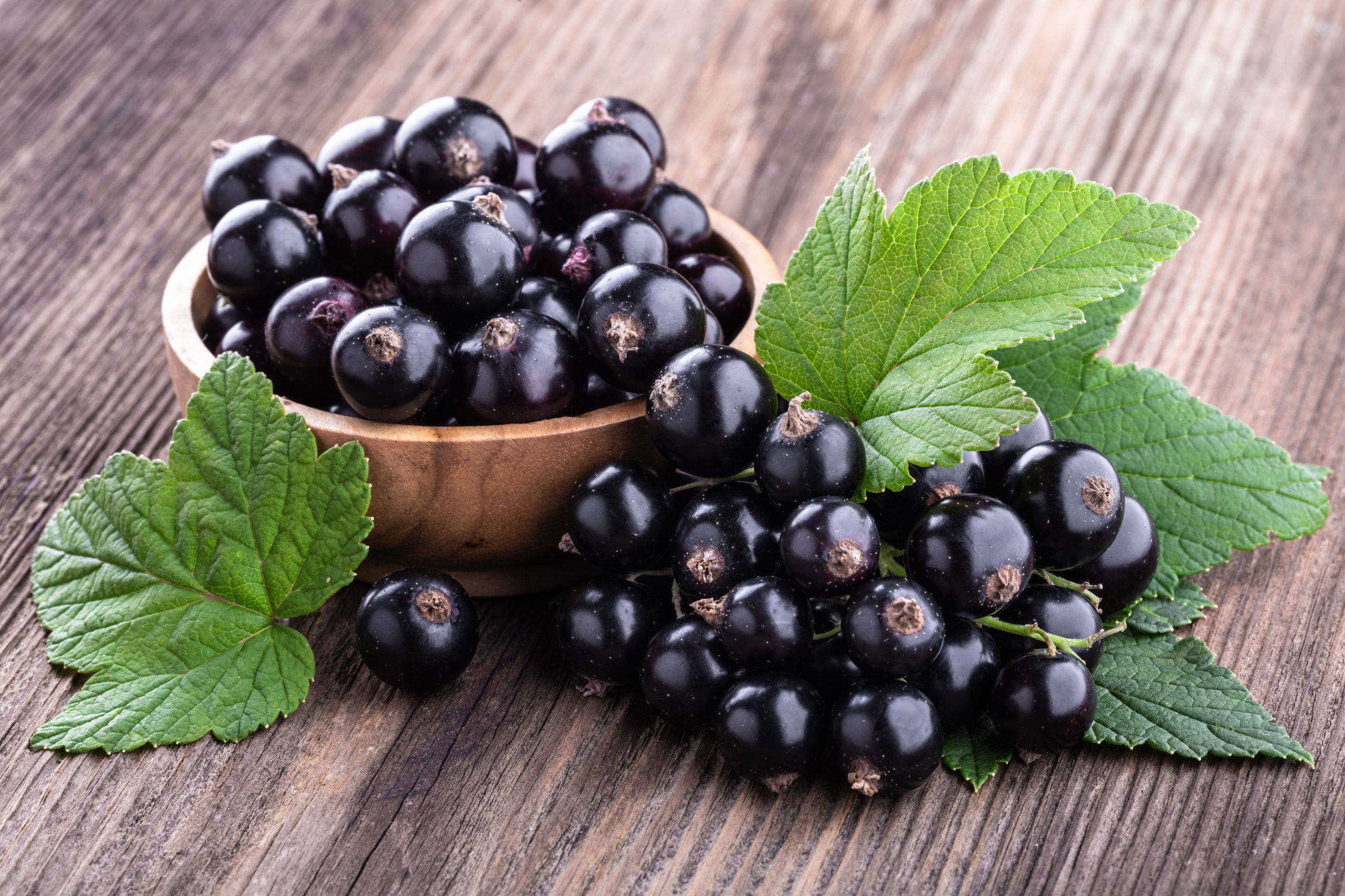 blackcurrant, wooden bowl, fresh green leaves, Full HD Desktop Wallpaper
