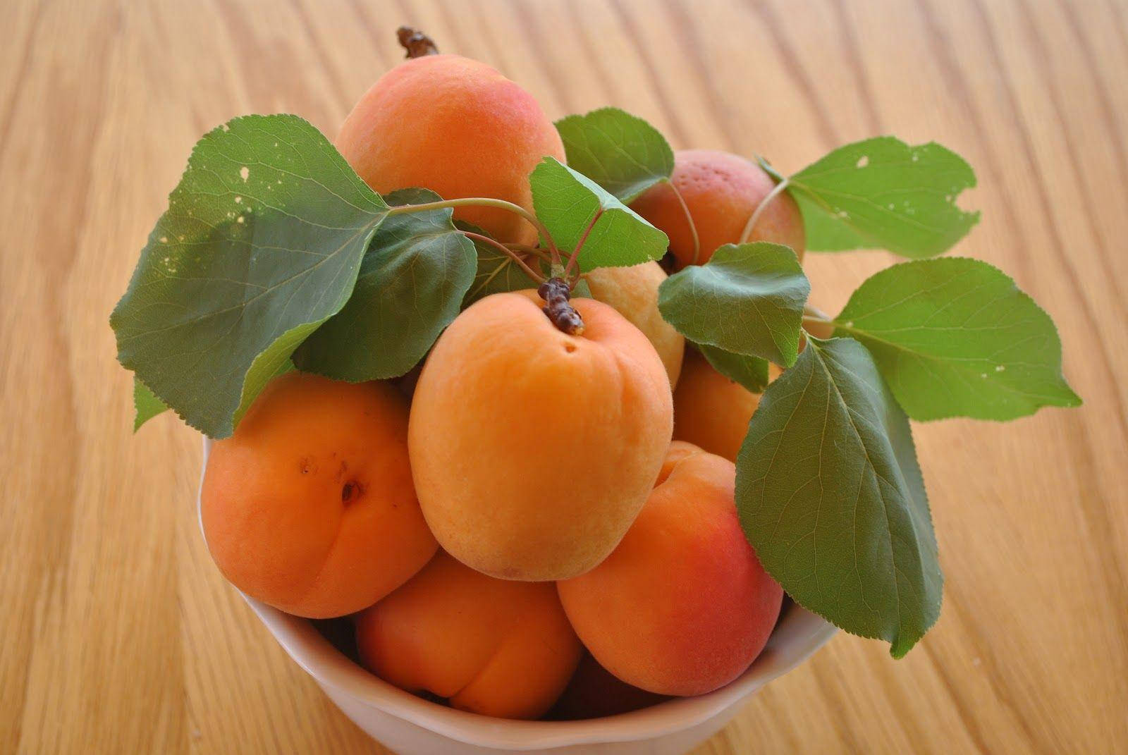 bowl of apricot fruits, white bowl, fresh apricots, HD Desktop Wallpaper