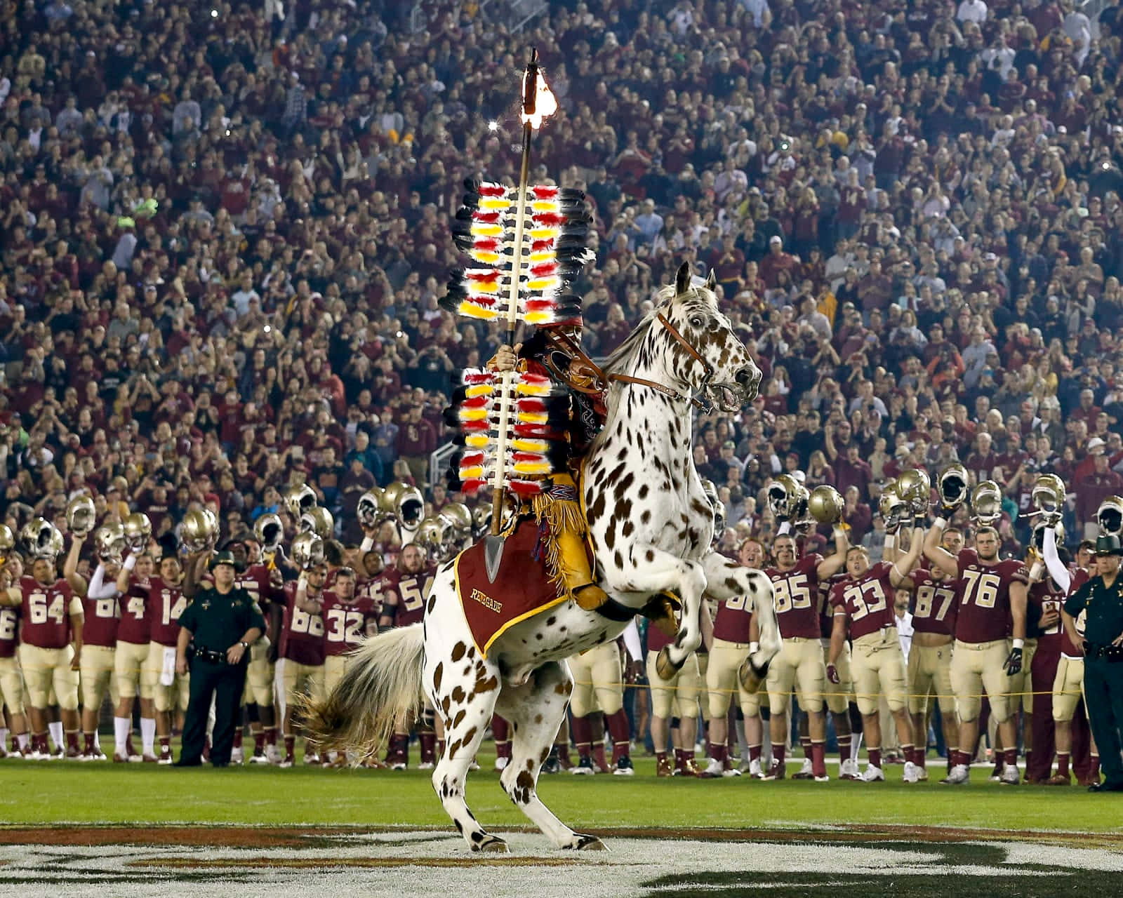 Fsu, dappled horse, feathered spear, HD Desktop Wallpaper