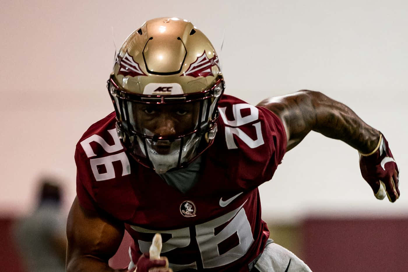 FSU, maroon and gold, stadium lights, HD Desktop Wallpaper