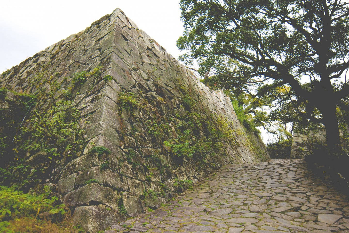 Fukuoka, castle, mossy stone wall, HD Desktop Wallpaper