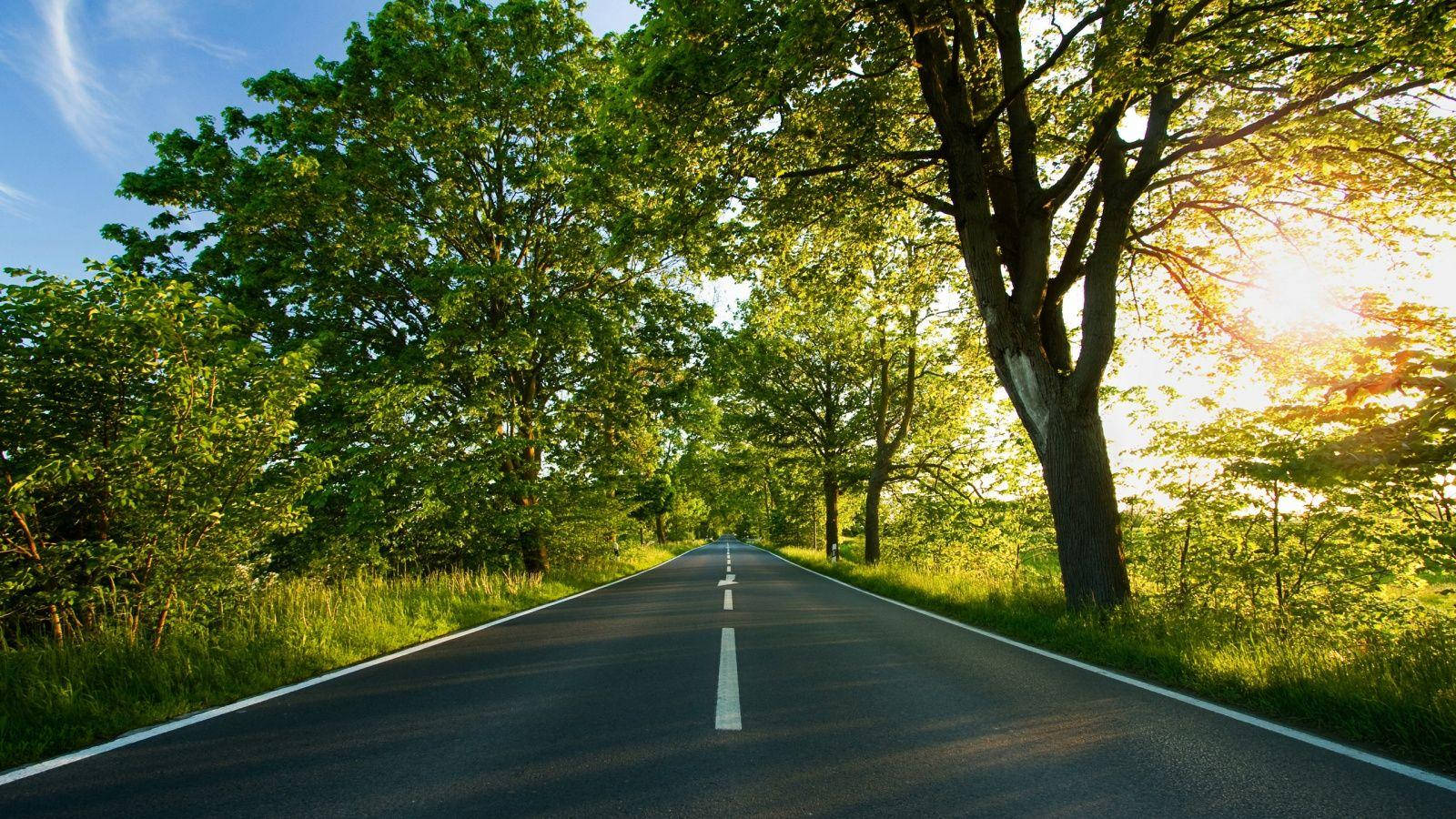 country road, asphalt road, lush green forest, HD Desktop Wallpaper