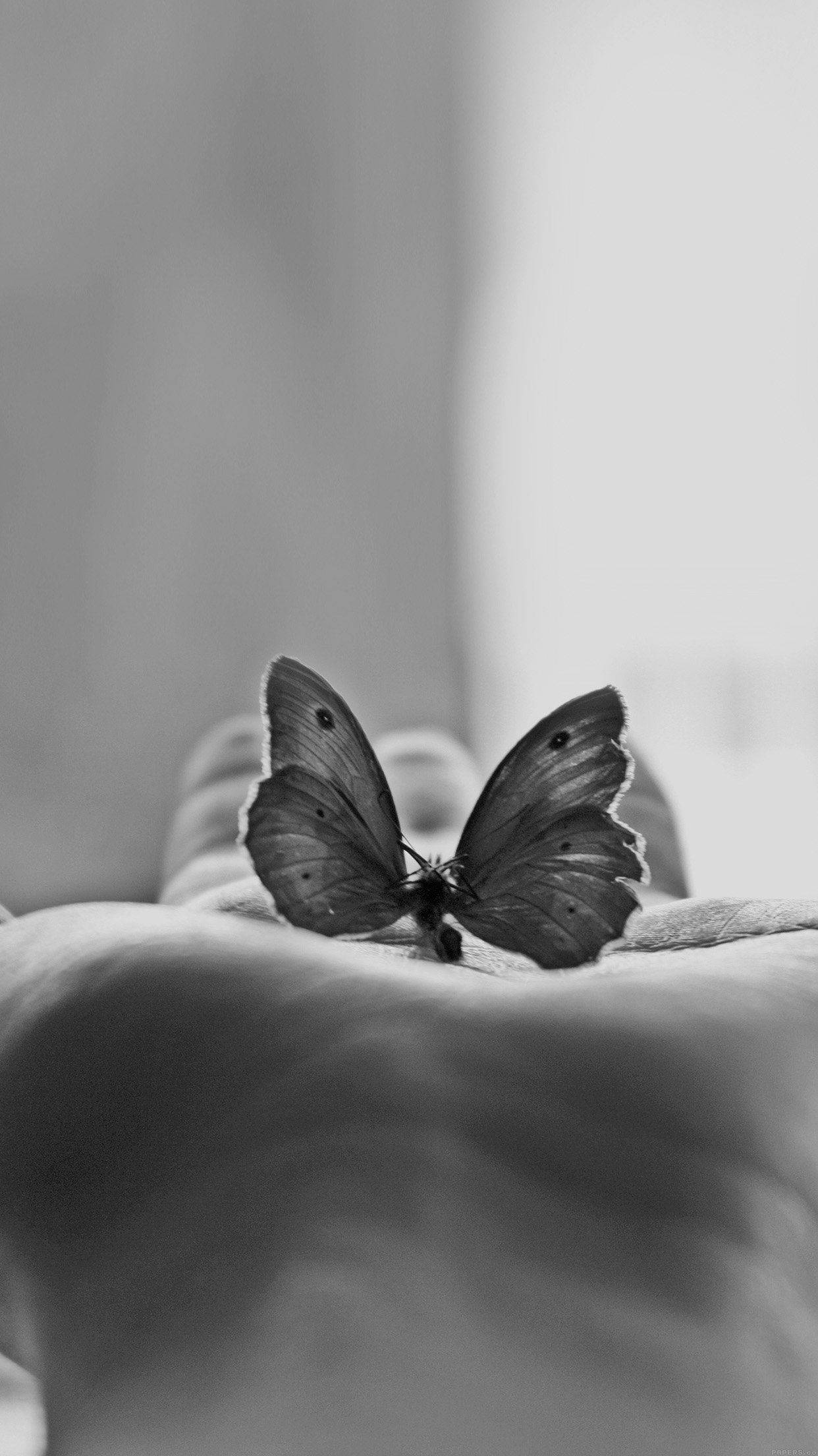 butterfly, black and white, open human hand, Full HD Phone Wallpaper
