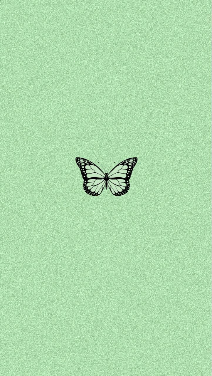cool green butterfly, mint green background, black and white butterfly illustration, HD Phone Wallpaper