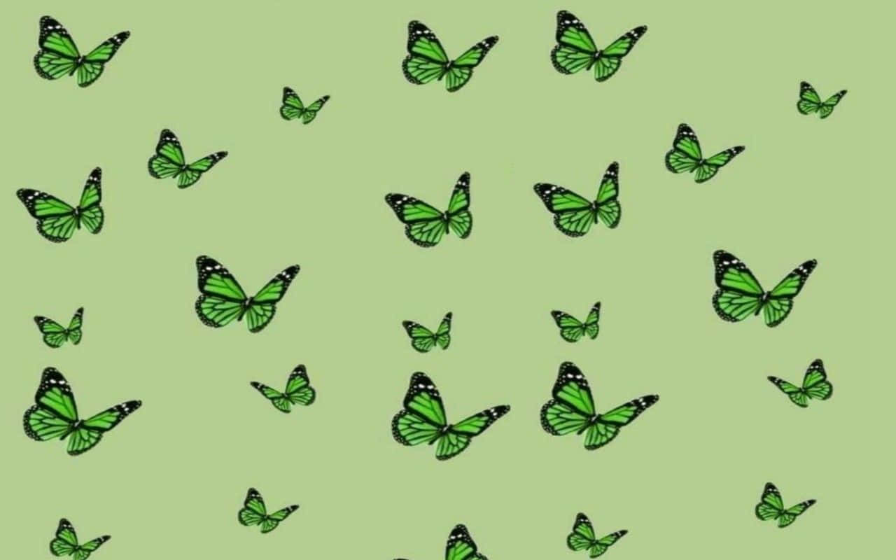 green butterfly, black outlines, solid light green background, HD Desktop Wallpaper