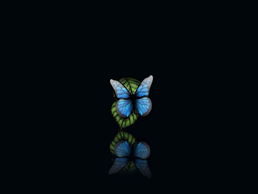elusive blue butterfly, glowing blue butterfly, green leaf, SD Desktop Wallpaper