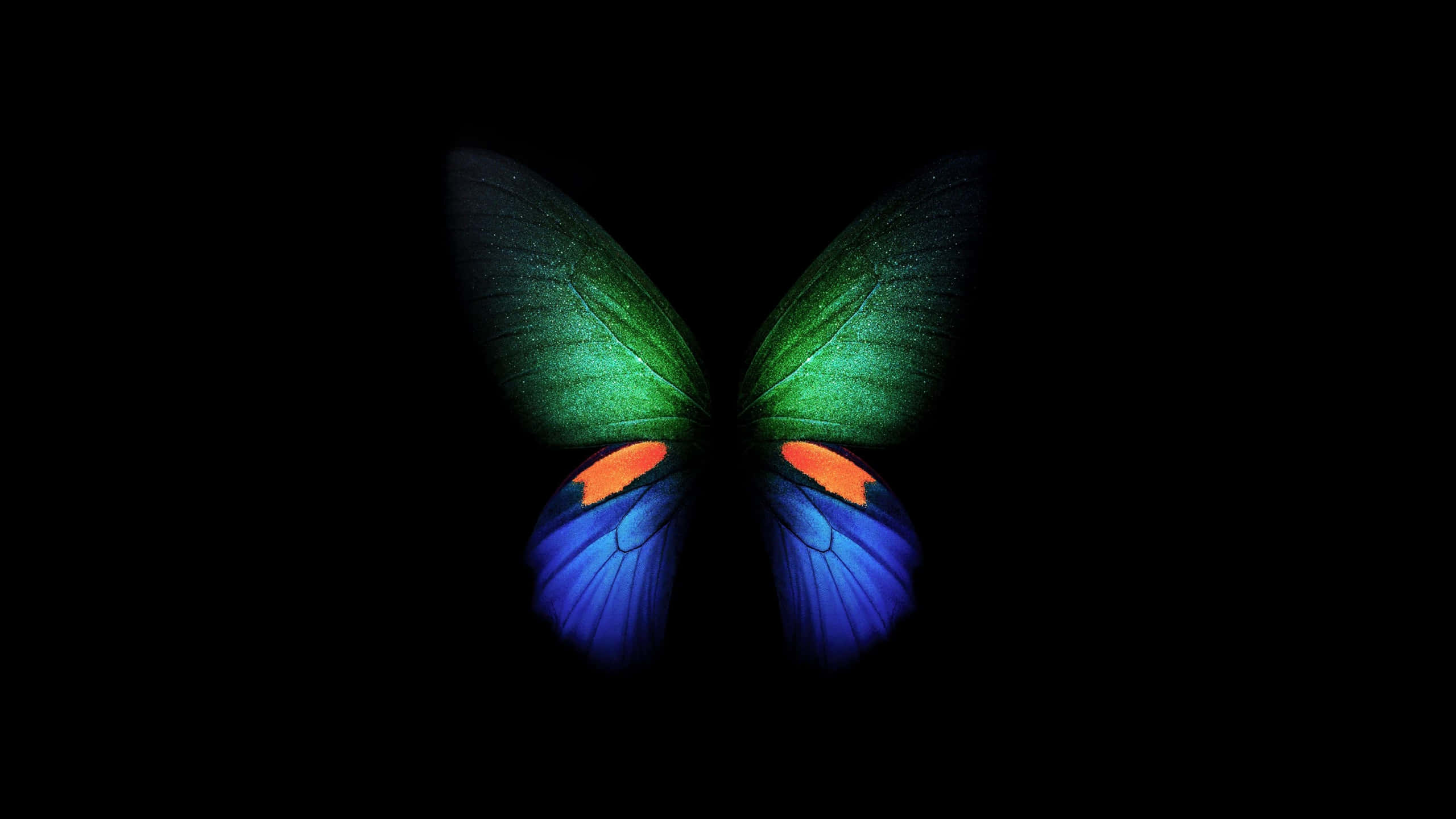 vibrant butterfly, iridescent green upper wings, vibrant blue lower wings, 2K Desktop Wallpaper
