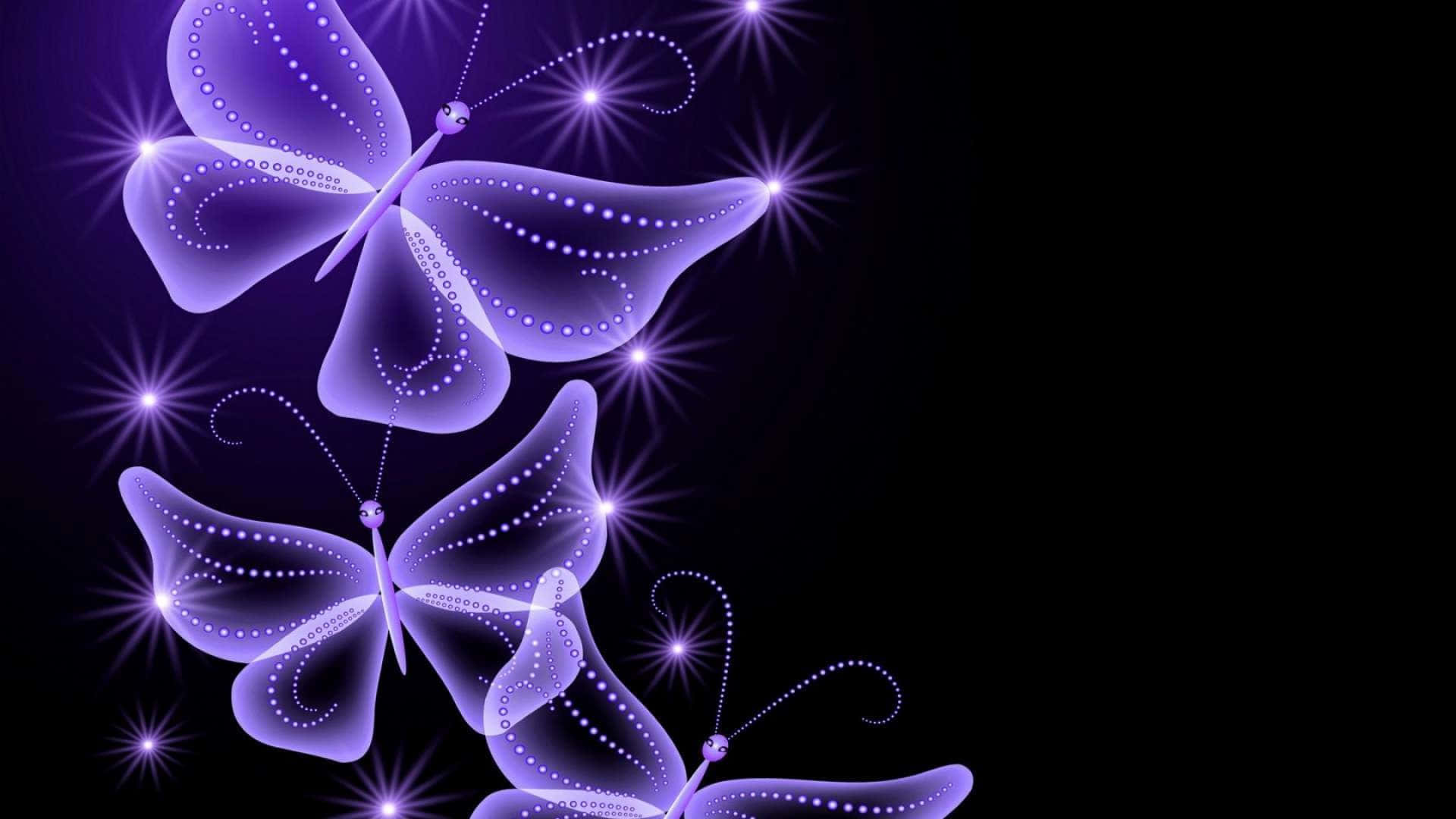 glowing purple butterflies, dotted wings, starburst black background, Full HD Desktop Wallpaper