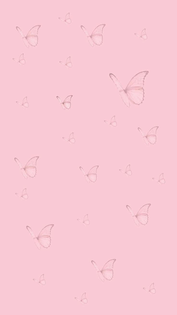 pink butterfly, pastel pink, soft pink background, HD Phone Wallpaper