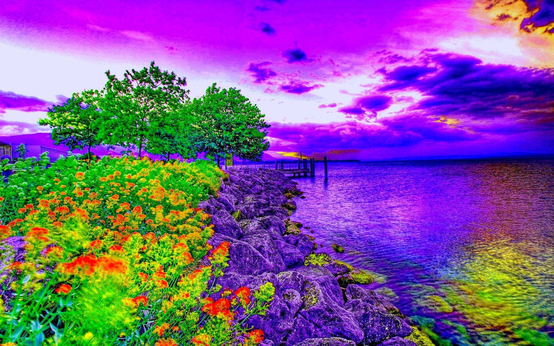 Full HD Computer Desktop, vibrant purple sky, neon green trees, Full HD Desktop Wallpaper