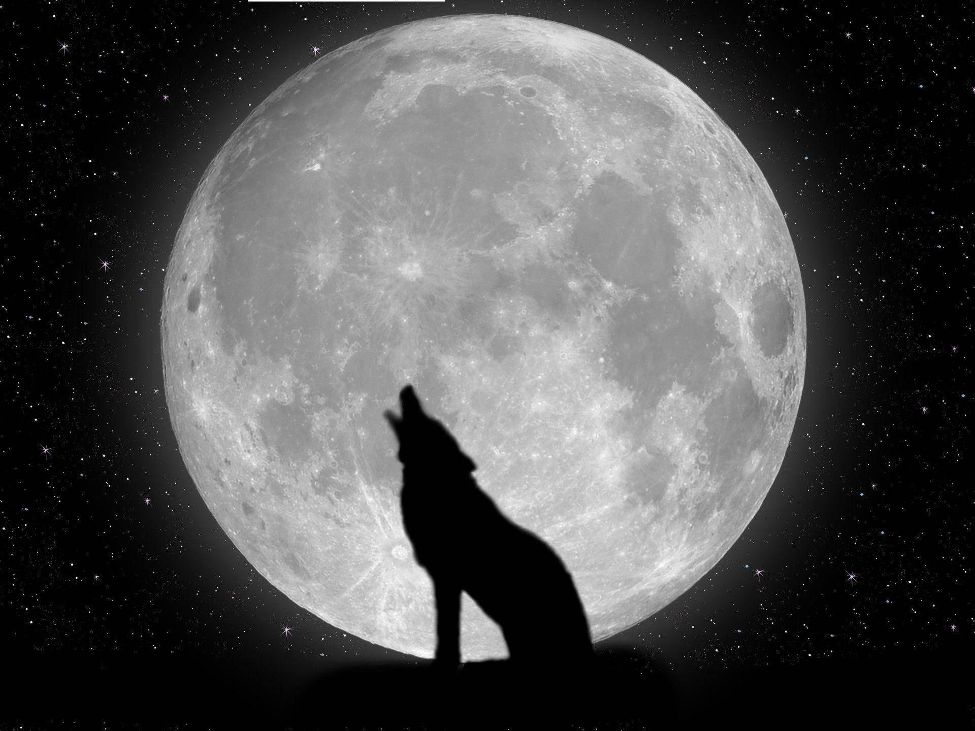 wolf silhouette, massive detailed moon, starry night sky, Full HD Desktop Wallpaper