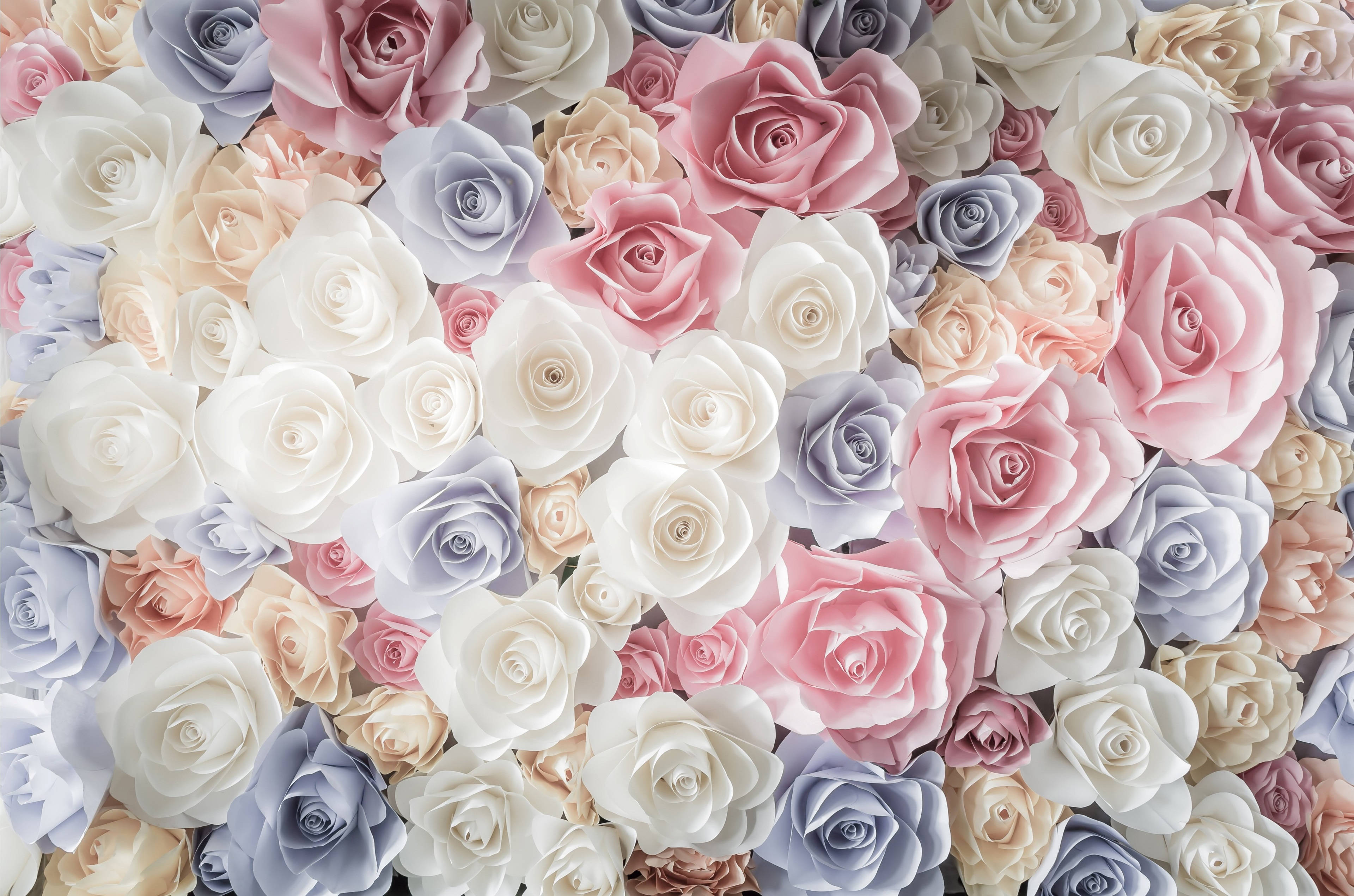pastel paper roses, soft pink lavender cream and white, lush floral pattern, 4K Desktop Wallpaper