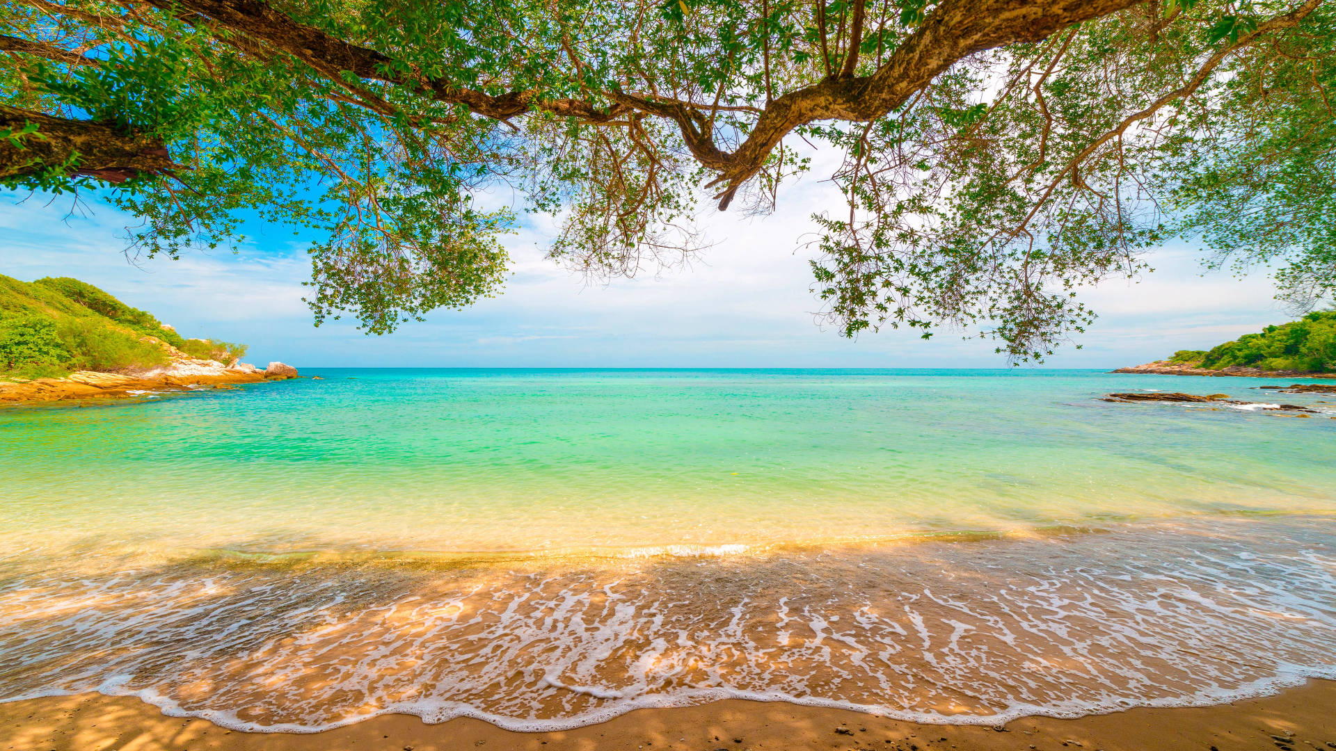 beach, tropical beach, lush green tree branches, Full HD Desktop Wallpaper