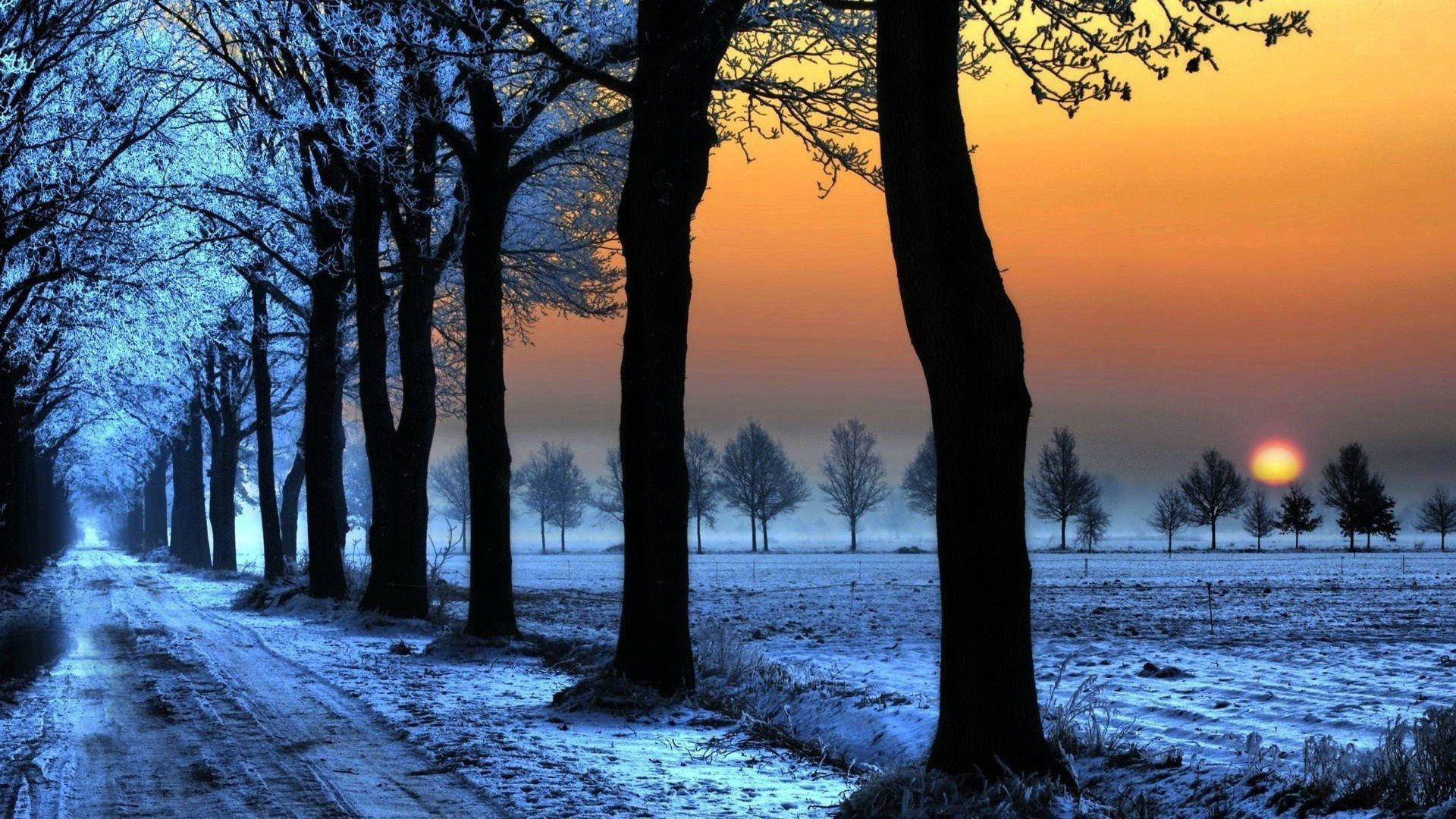 Winter Streets, snowy road, bare trees, Full HD Desktop Wallpaper