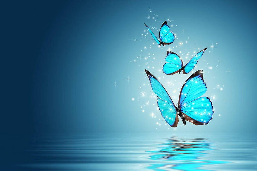 blue butterflies, glowing blue, calm water, SD Desktop Wallpaper